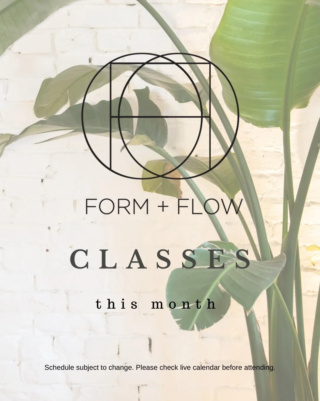 Here&rsquo;s our class schedule for the month ✨

Save it, plan your week, and stay consistent.

Quick note: schedules may shift occasionally, so please check the live calendar before class to stay updated.

We&rsquo;ll meet you on the mat.

#formandf