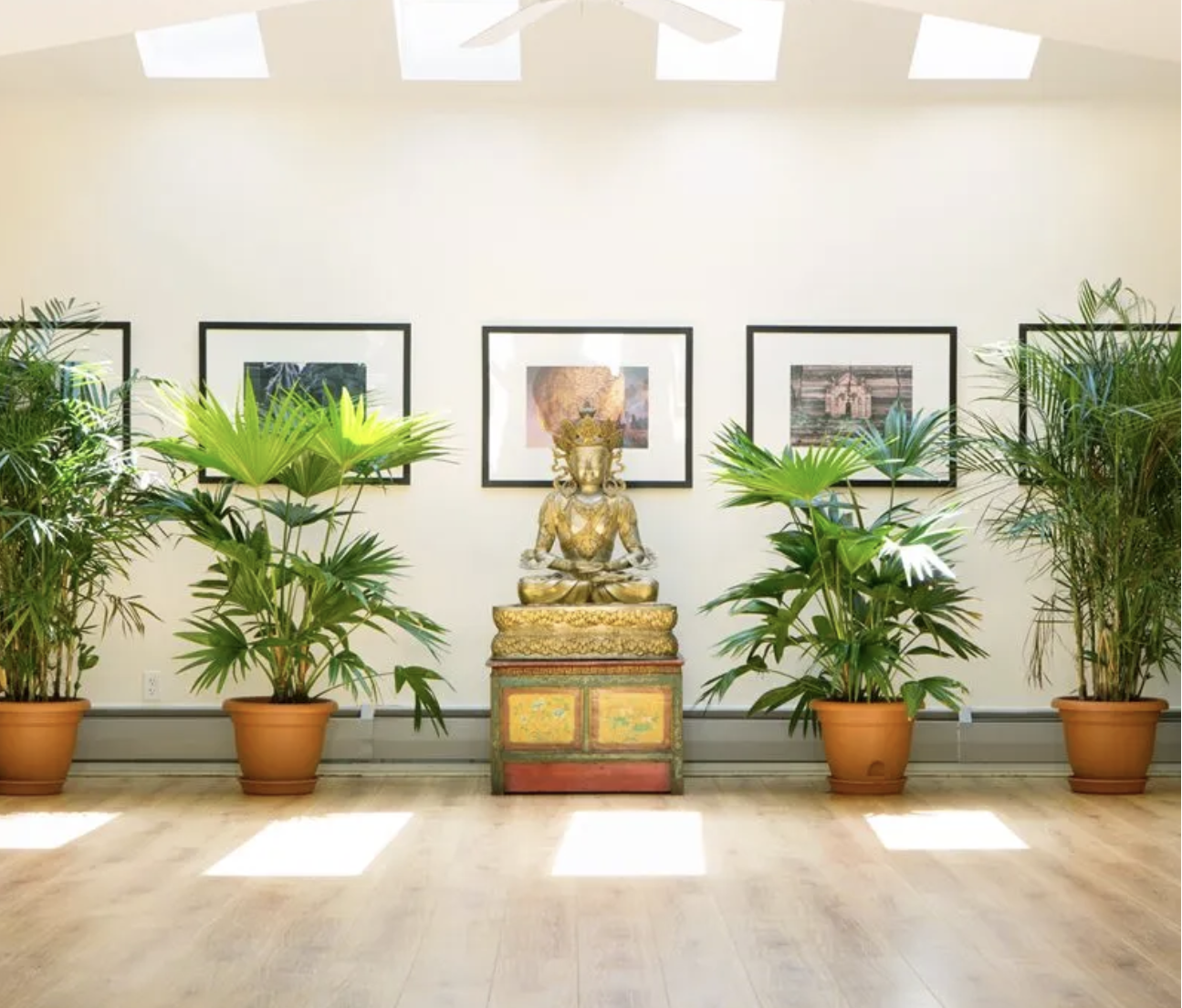 Screenshot 2026-01-21 at 9.06.04 AM.png