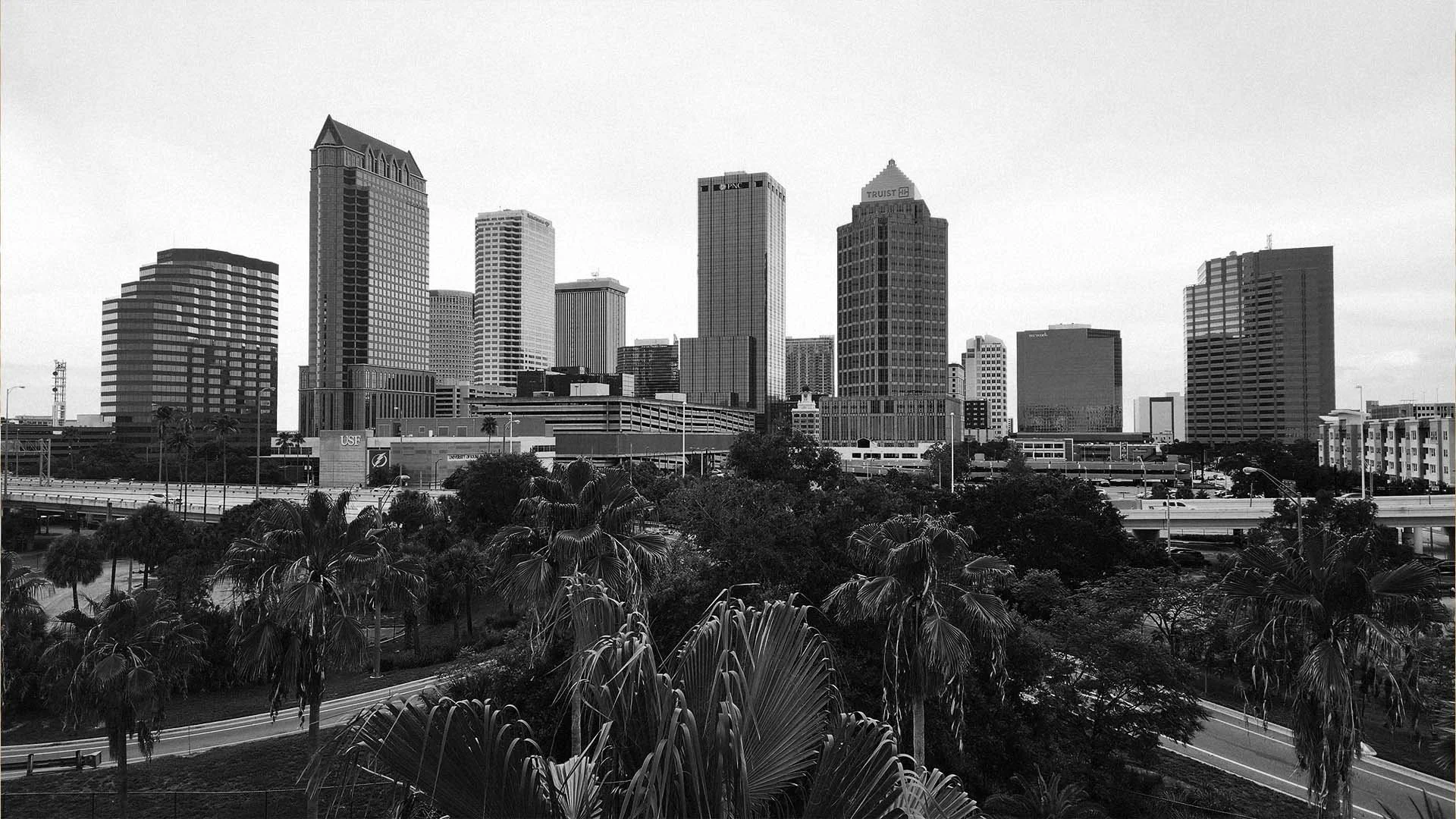 Tampa Bay skyline