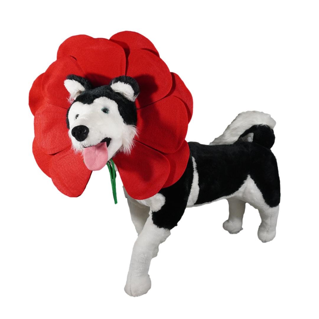 Dog Red Flower 2_clipped_rev_1.jpeg