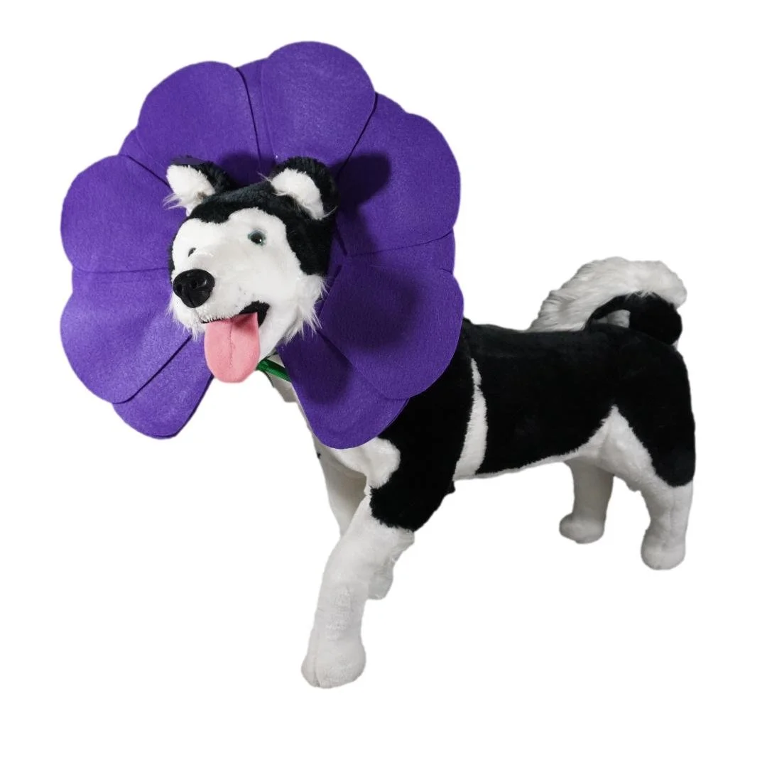 Dog Purple Flower 3_clipped_rev_1.jpeg