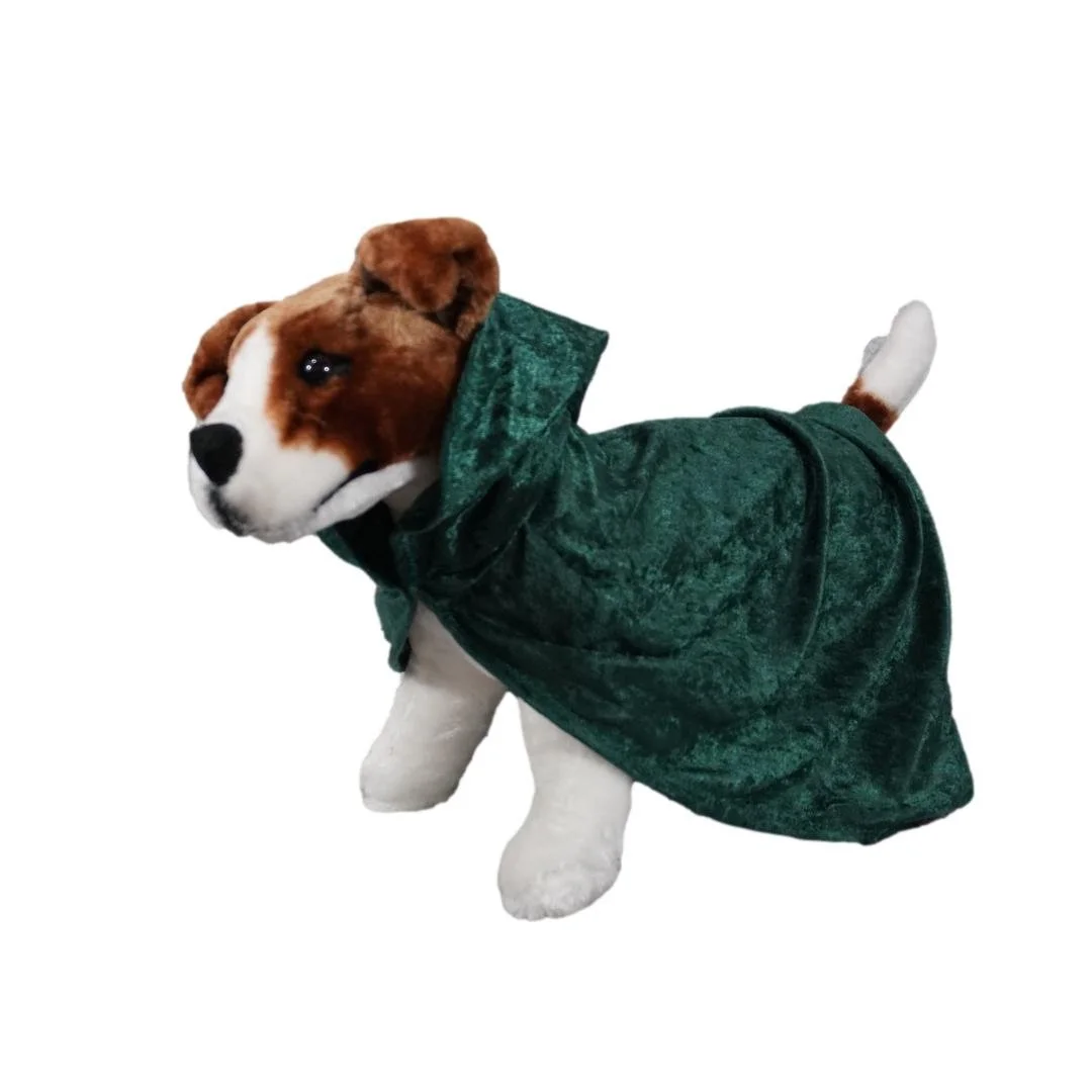 Dog Green Cape 5_clipped_rev_1.jpeg