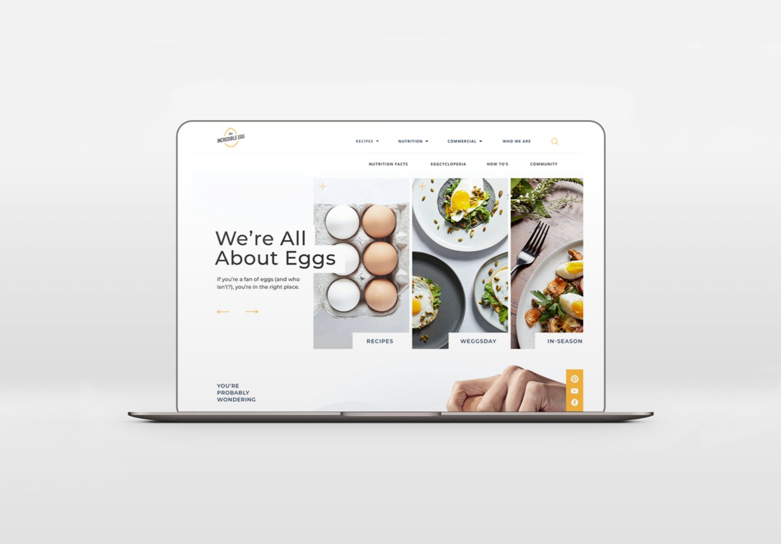 Egg_5.jpg