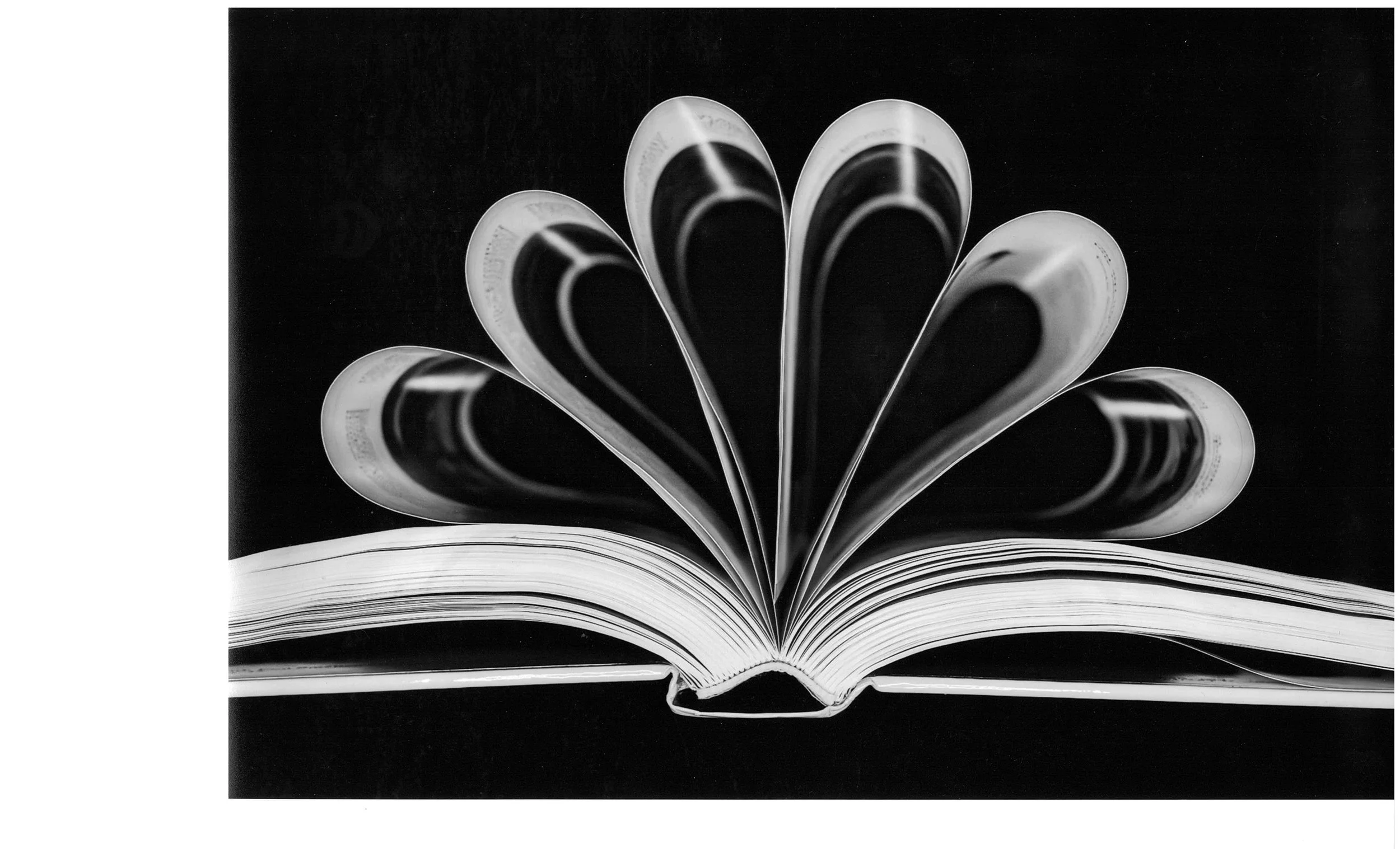 BW 3rd Place Untitled Roger Crill Men. Falls