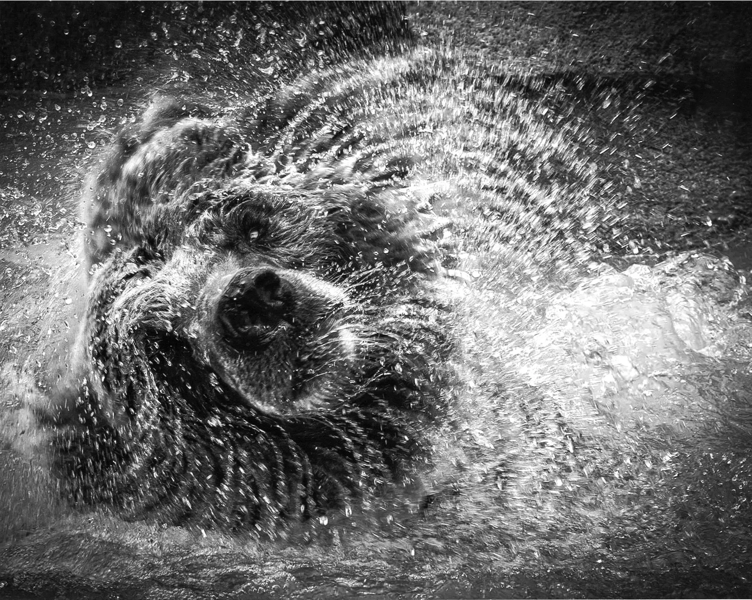 BW HM Saturday Night Bath Patrick Lynch Men. Falls