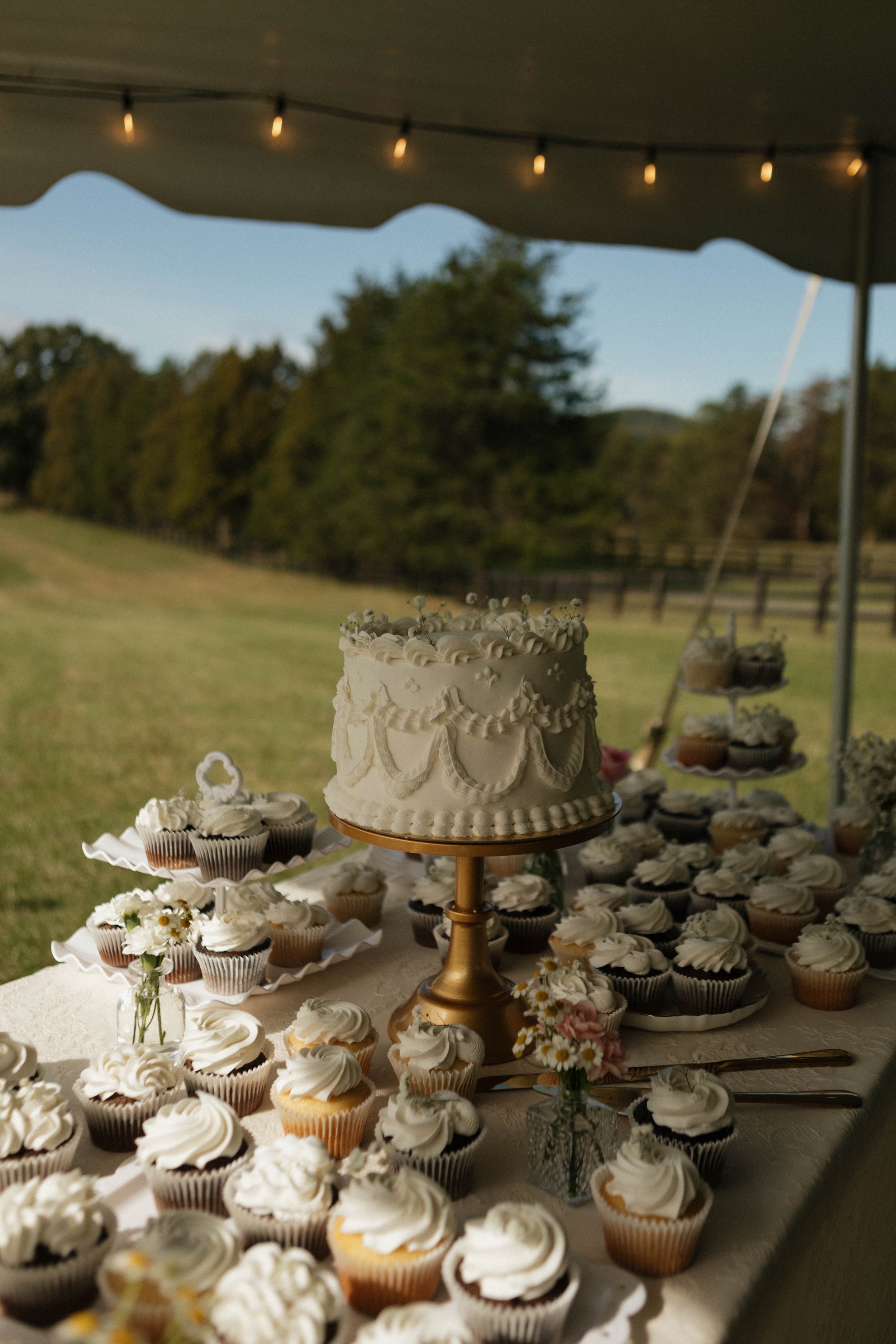 A dessert table with vanilla cupcakes topped with white frosting, a decorated white cake on a gold stand, small flower arrangements, and a backdrop of an outdoor grassy field and trees under a tent.