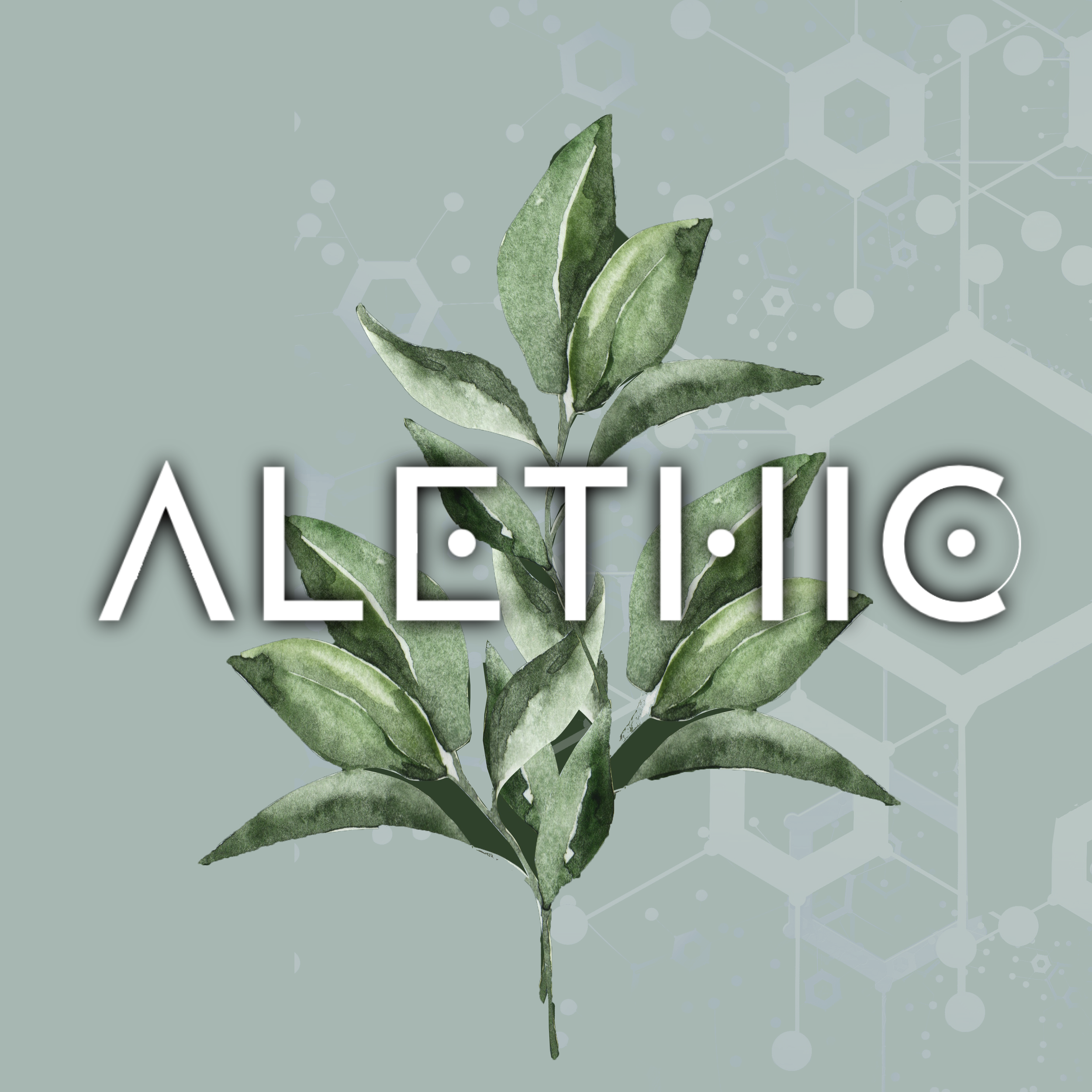 Warum braucht es gerade jetzt    die Alethik?