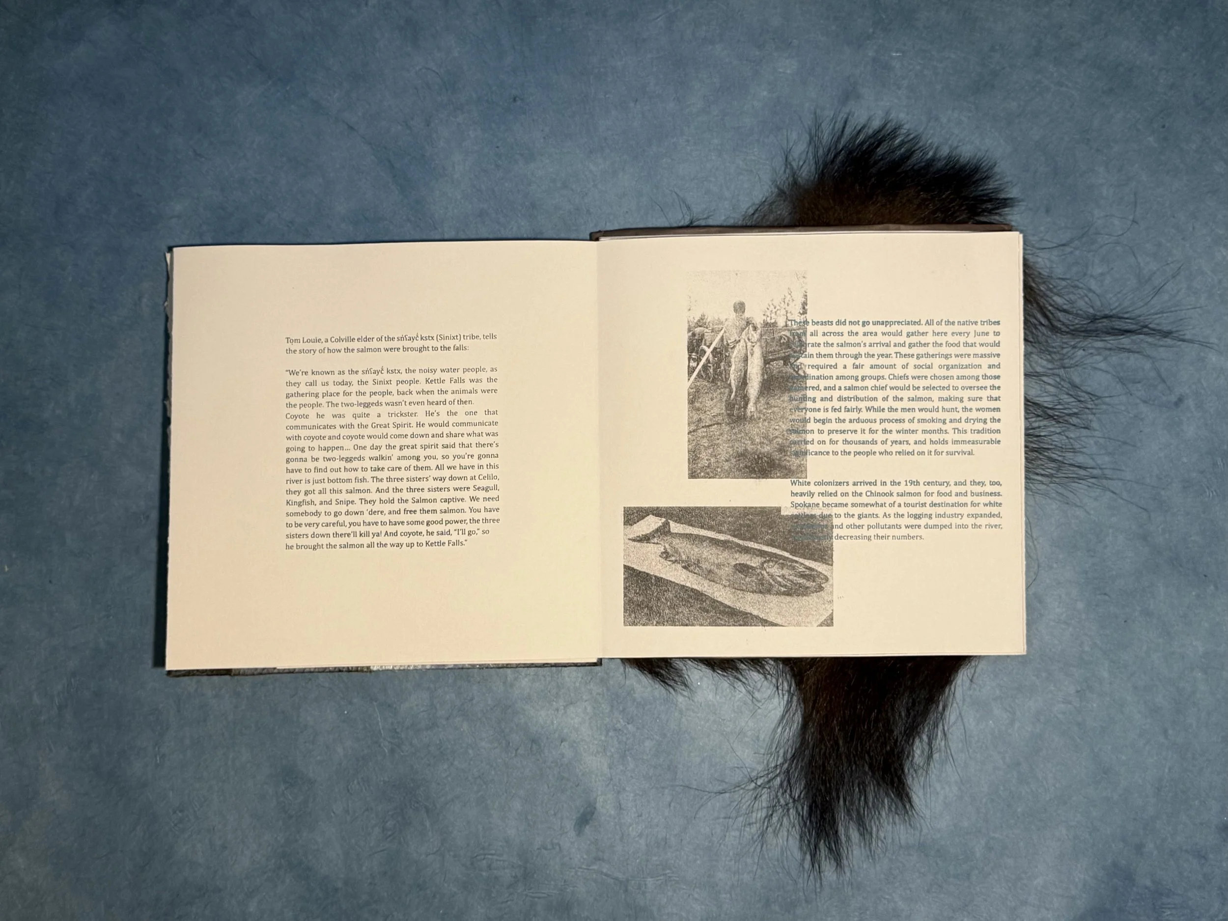 salmonbook_3.jpeg