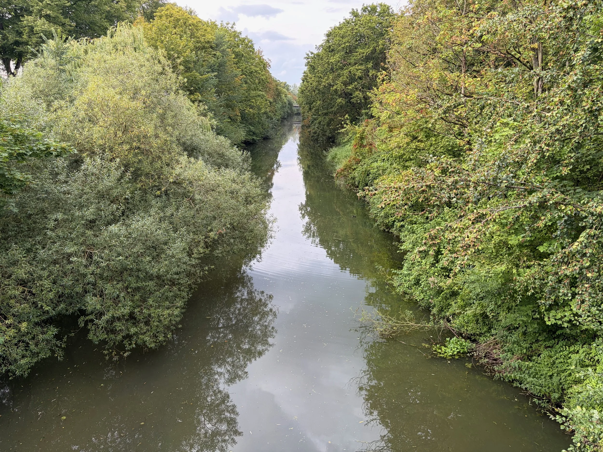 The Ilmenau River in Lüneburg
