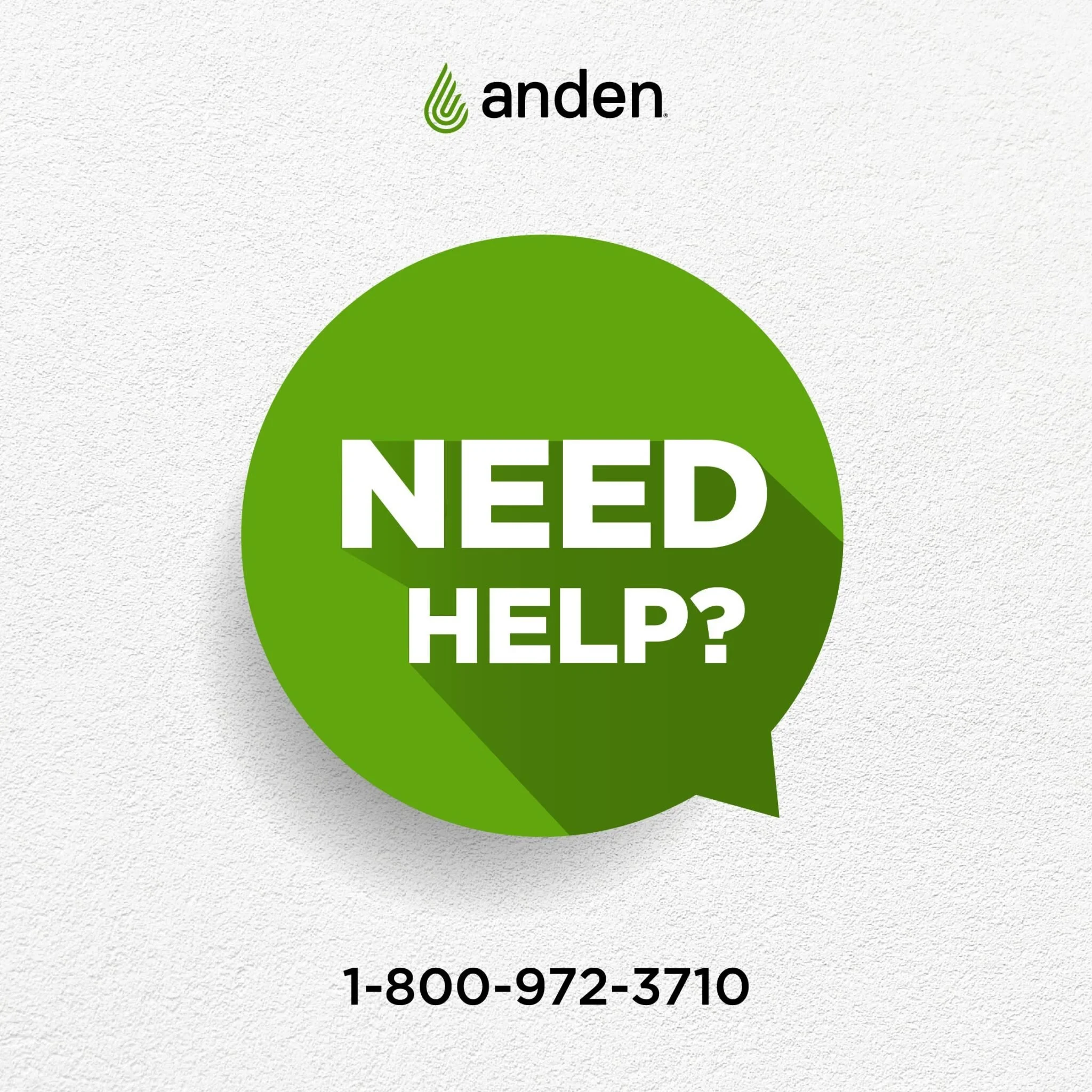 anden-july_28-IG-2048x2048.jpg