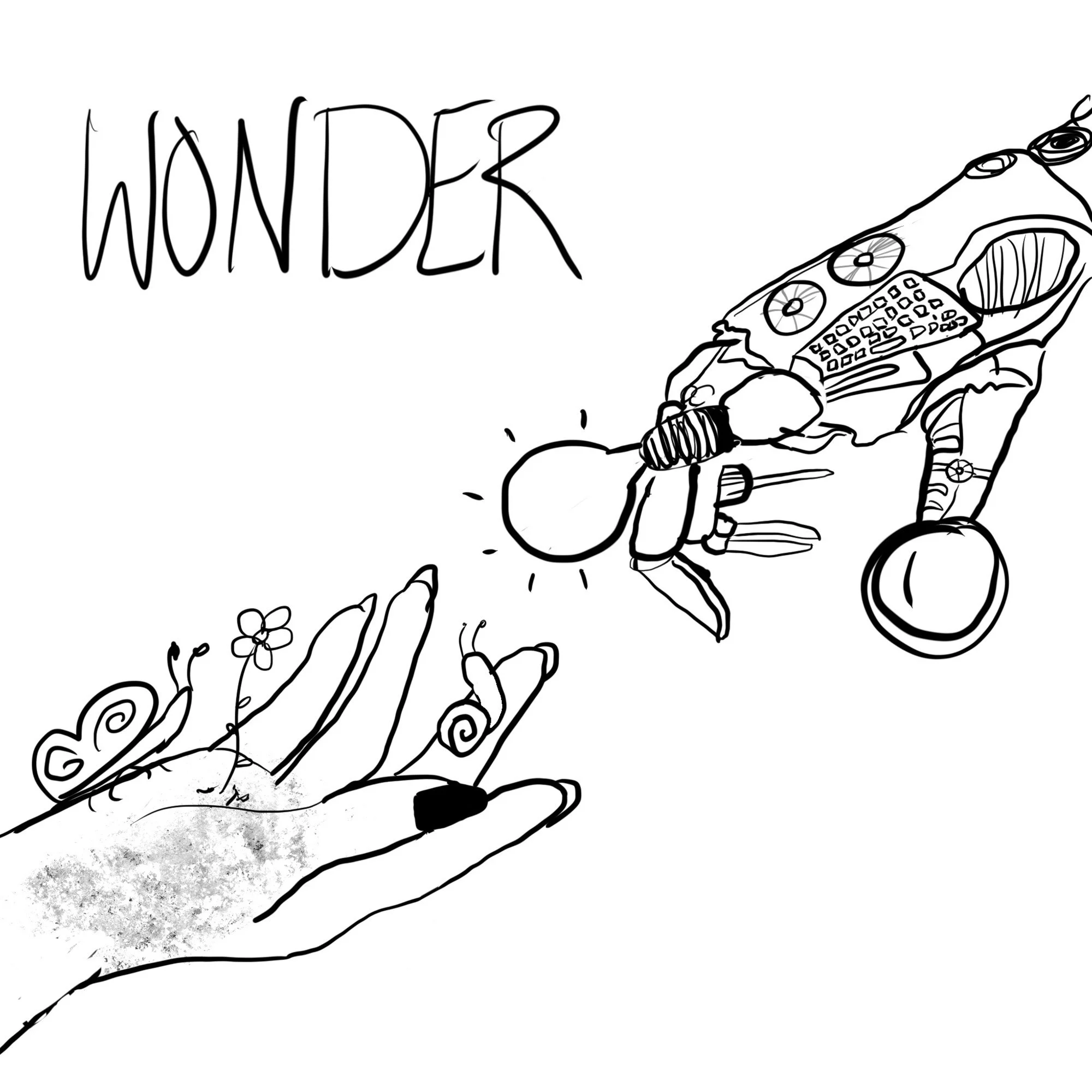 Wonder-1.jpeg