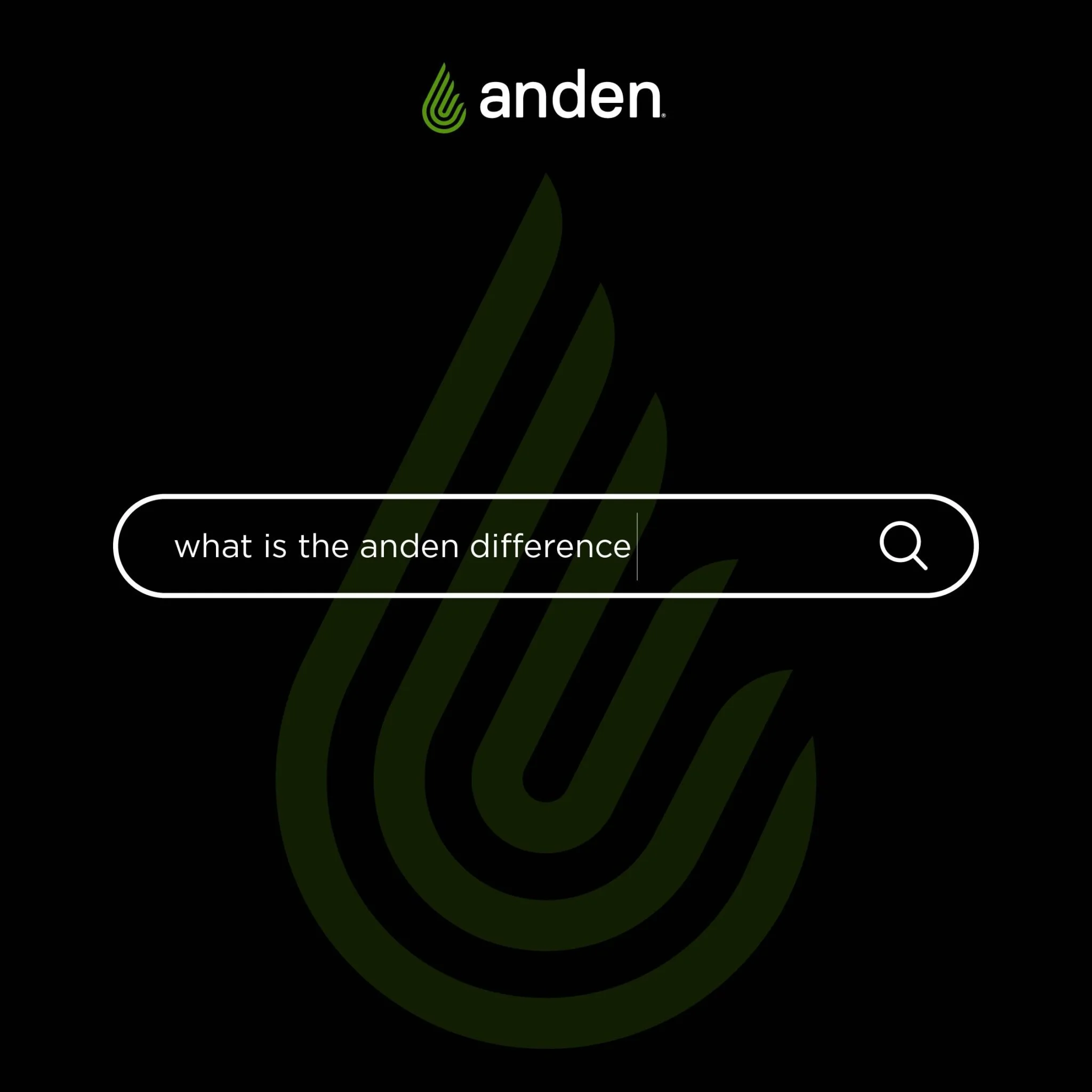 anden-august_12-IG-2048x2048.jpg
