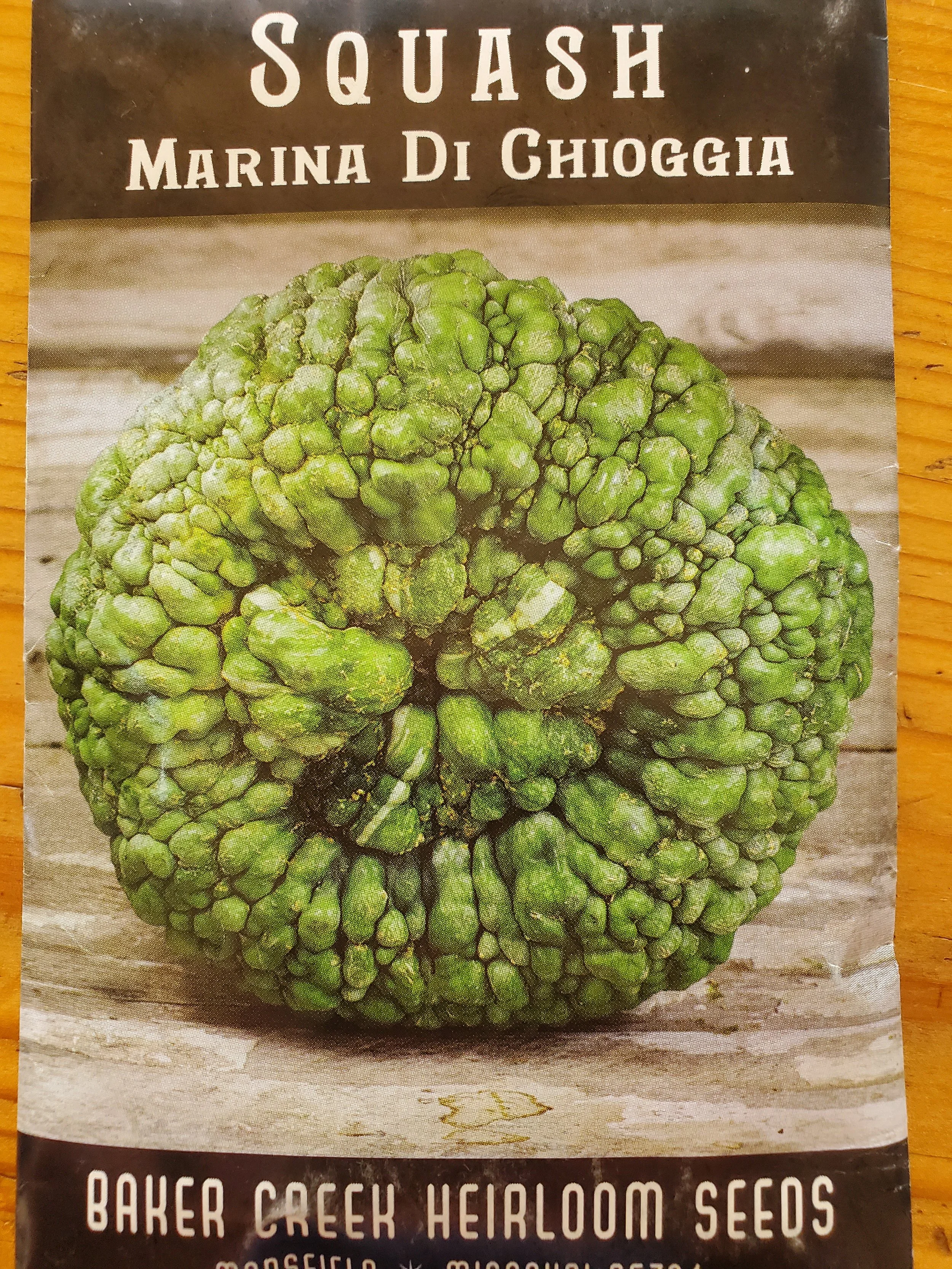 Marina DI Chioggia Squash
