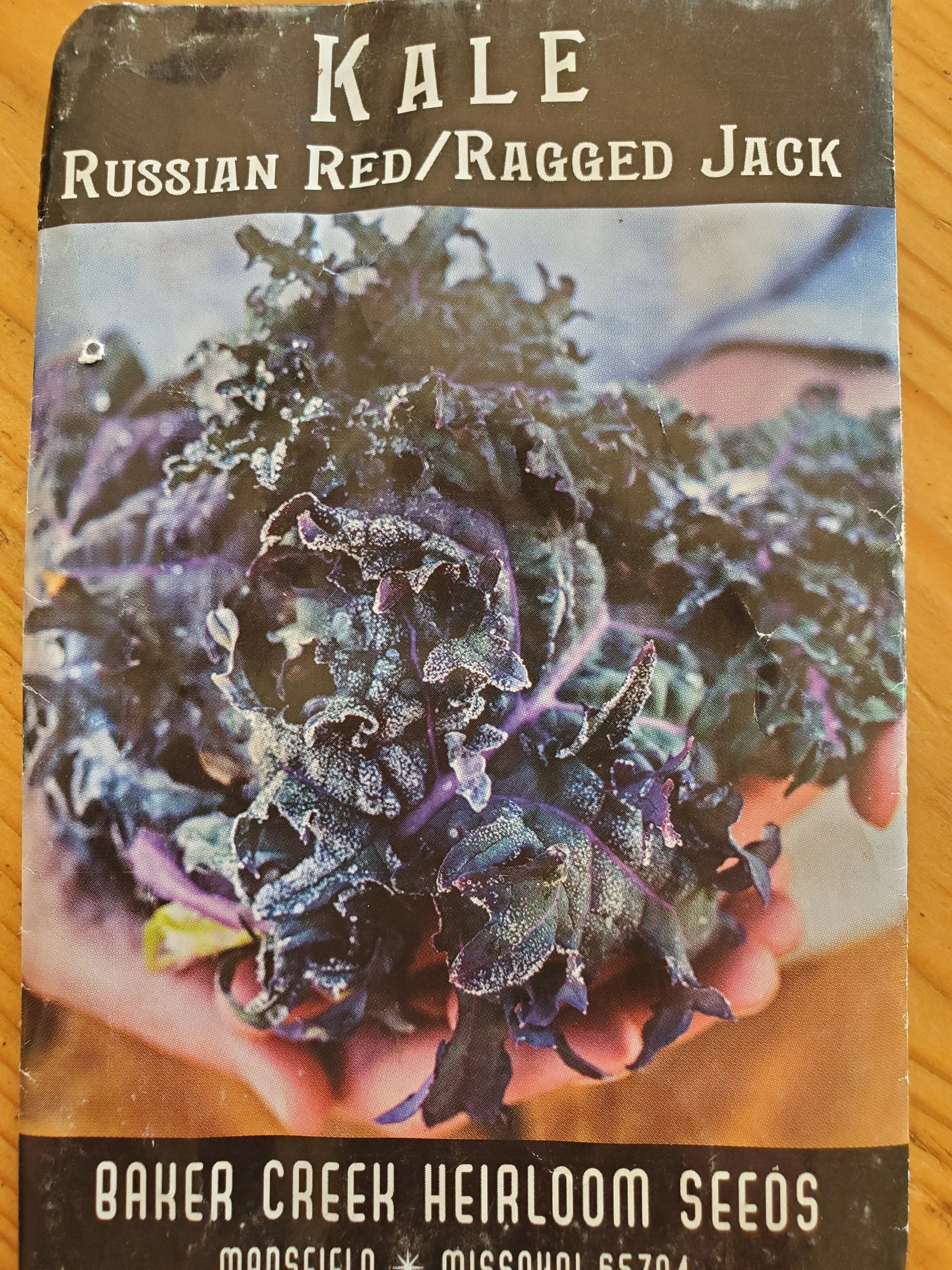 Russian Red Kale