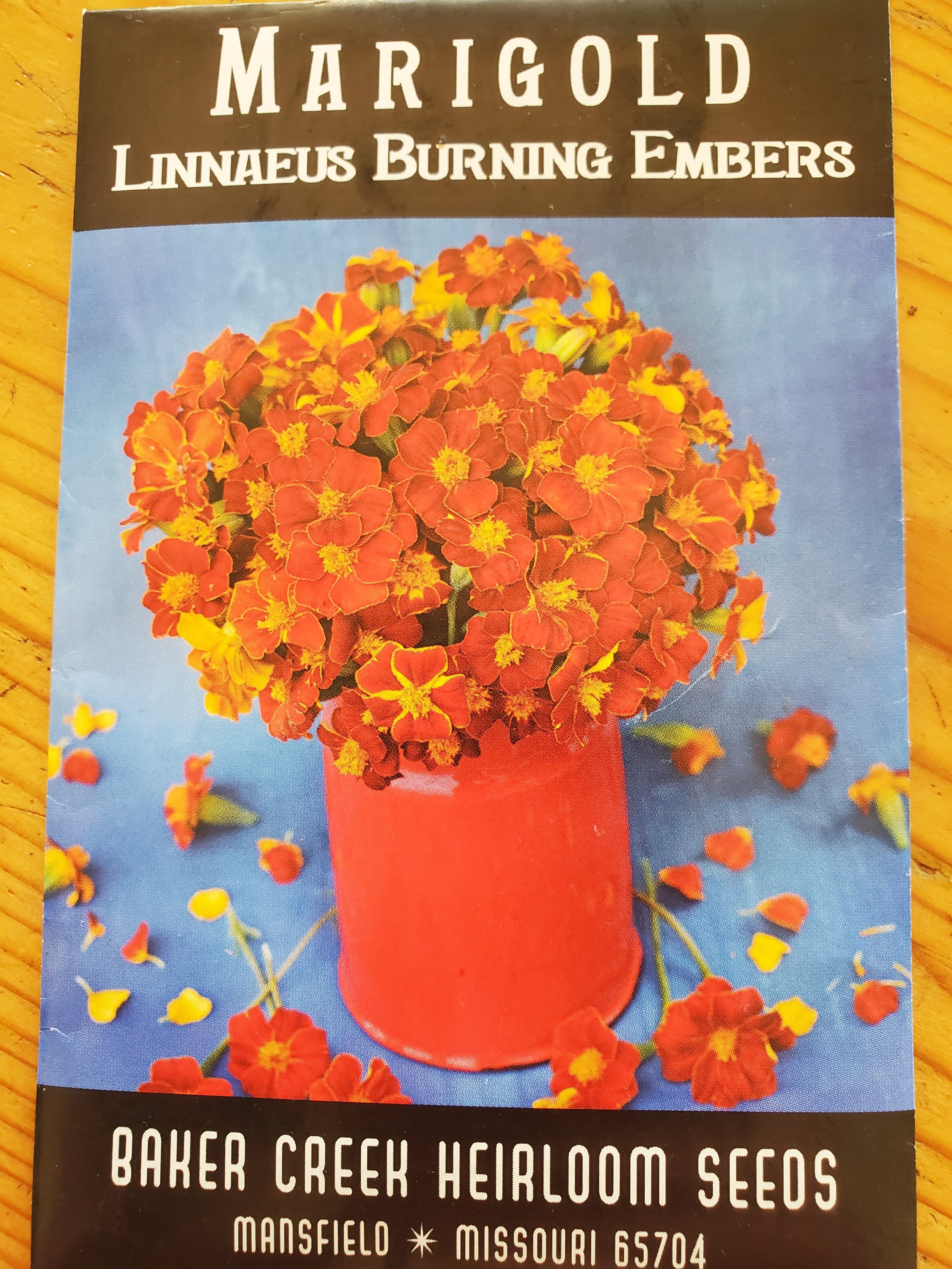 Linnaeus Burning Embers Marigold