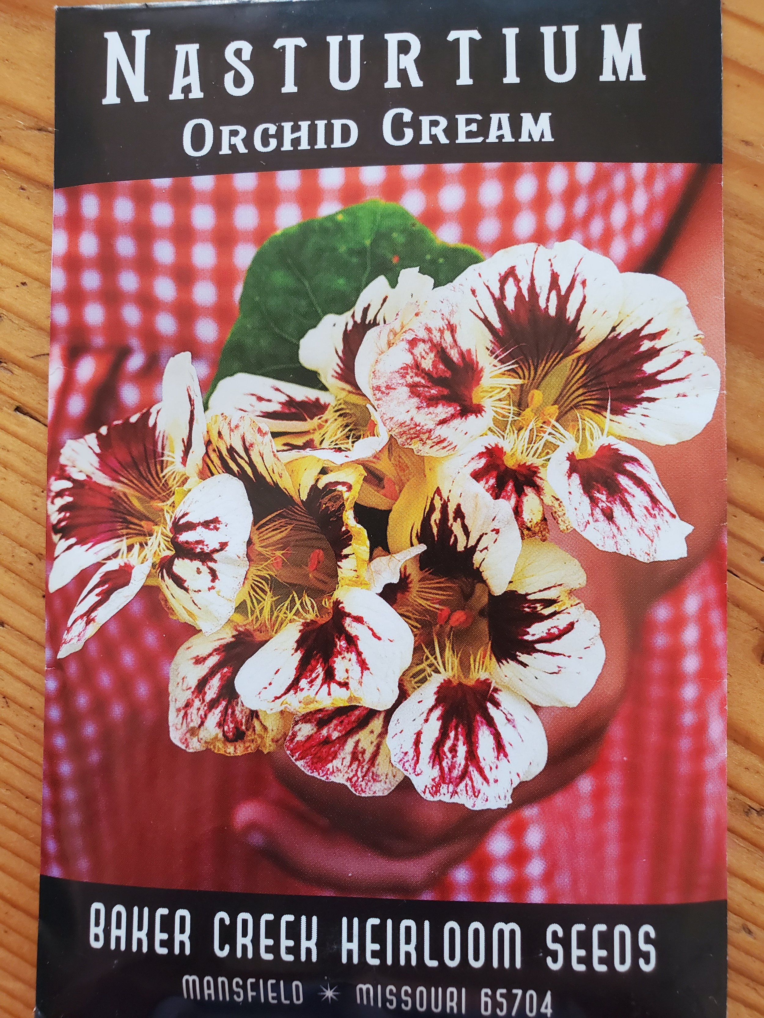 Orchid Cream Nasturtium