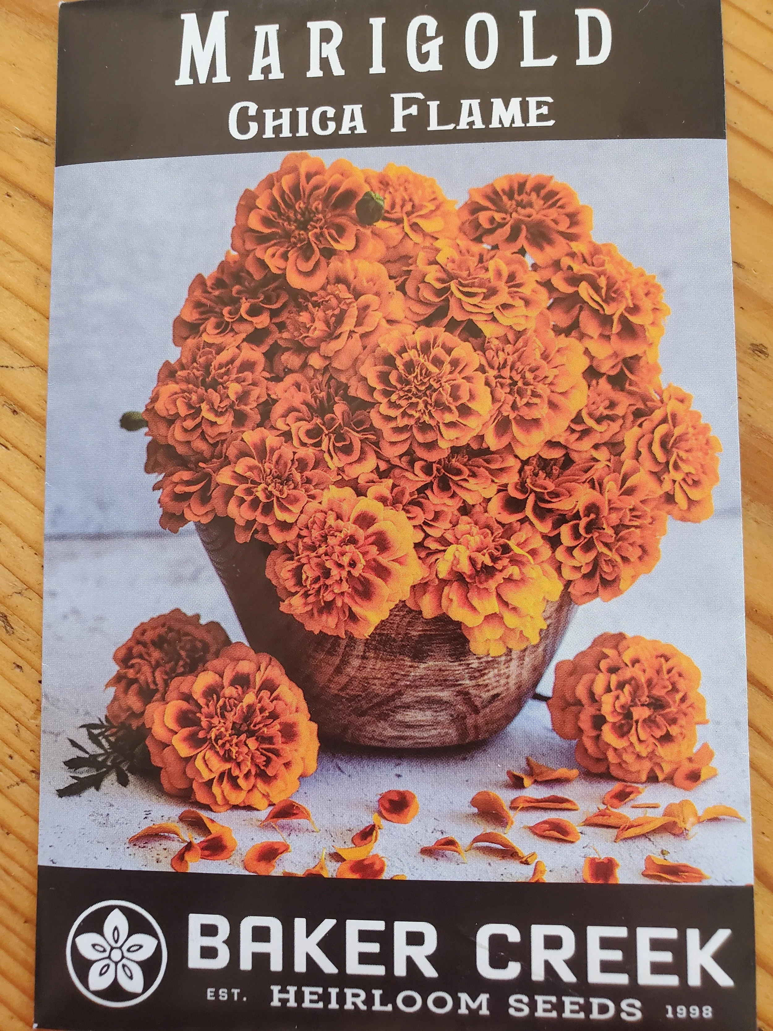 Chica Flame Marigold