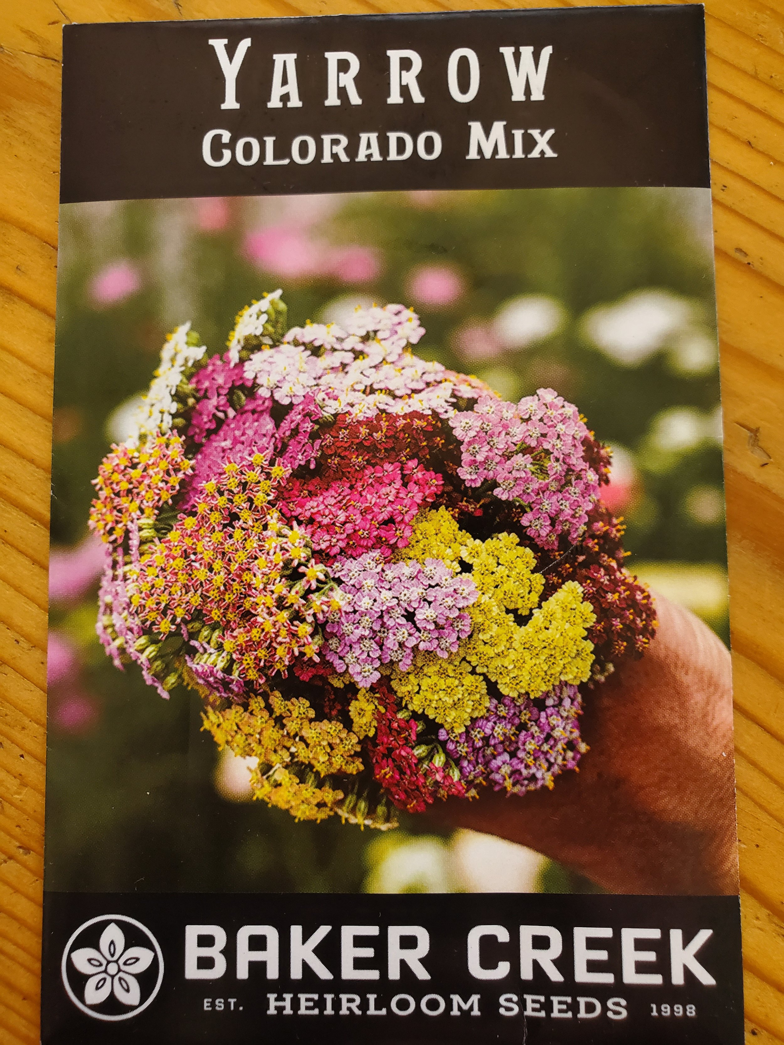 Yarrow Colorado Mix