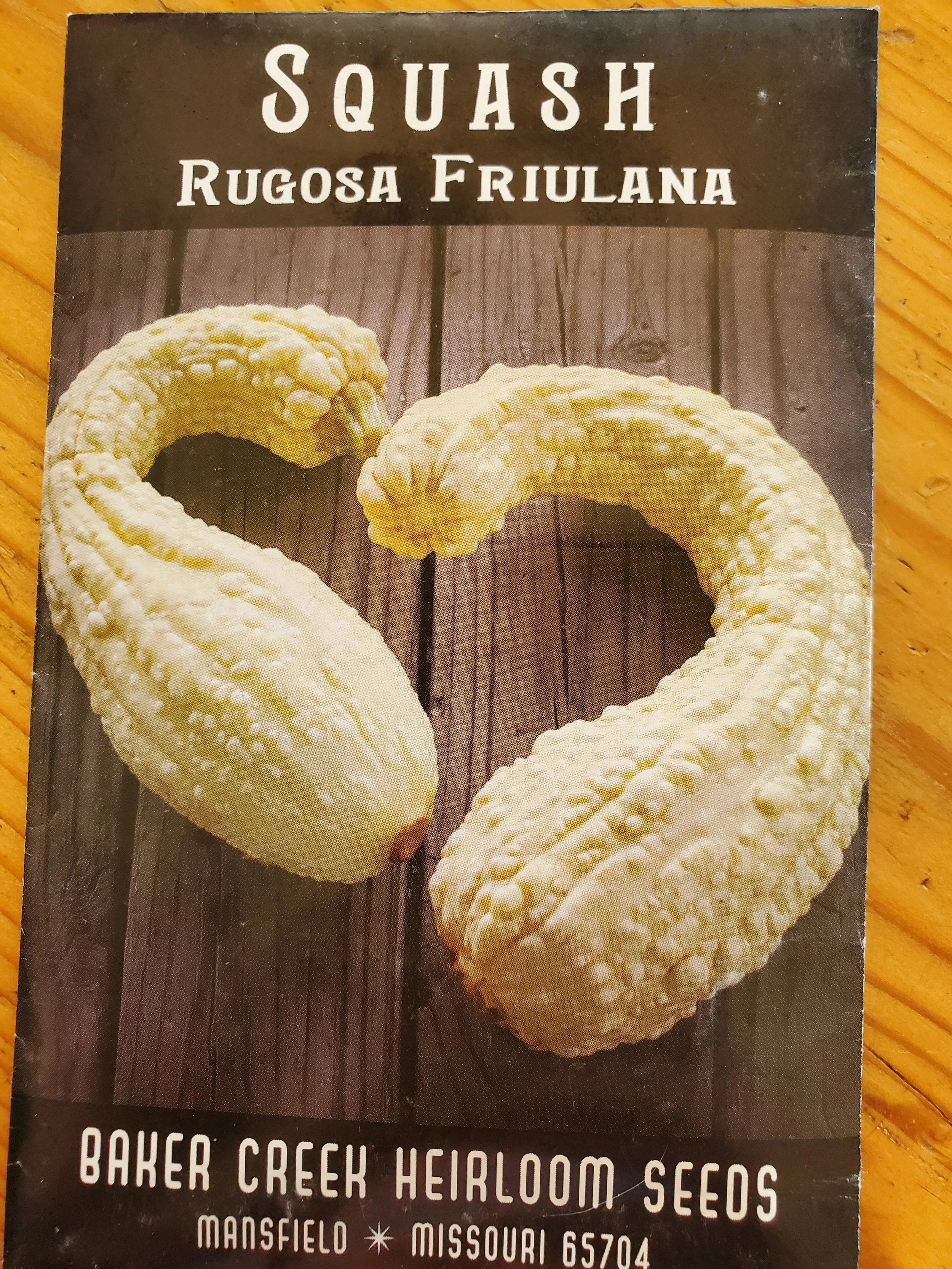 Rugosa Friulana Squash