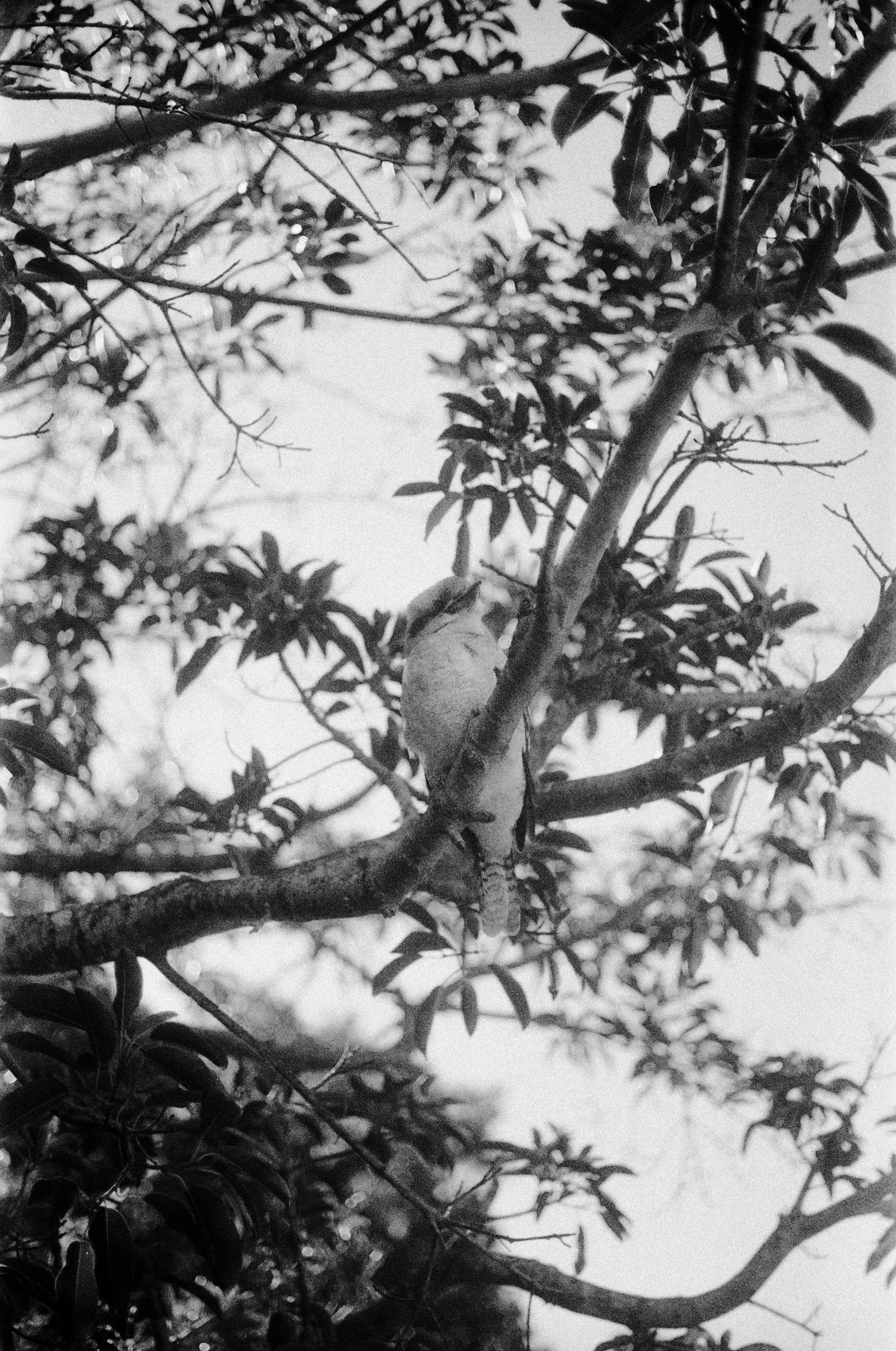 Miriam Stevens 0015 20 copy.jpg