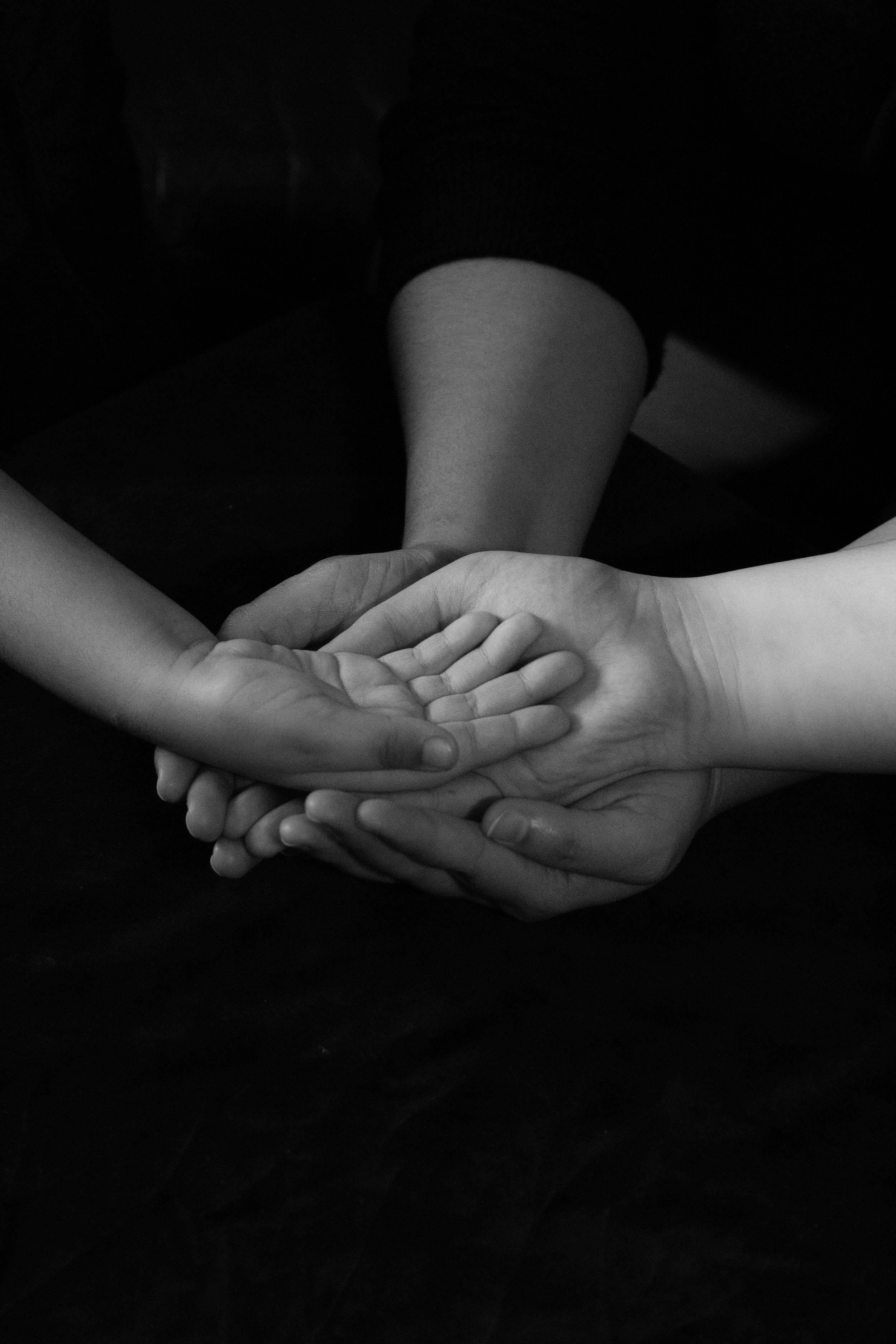 family10.hands2.jpg