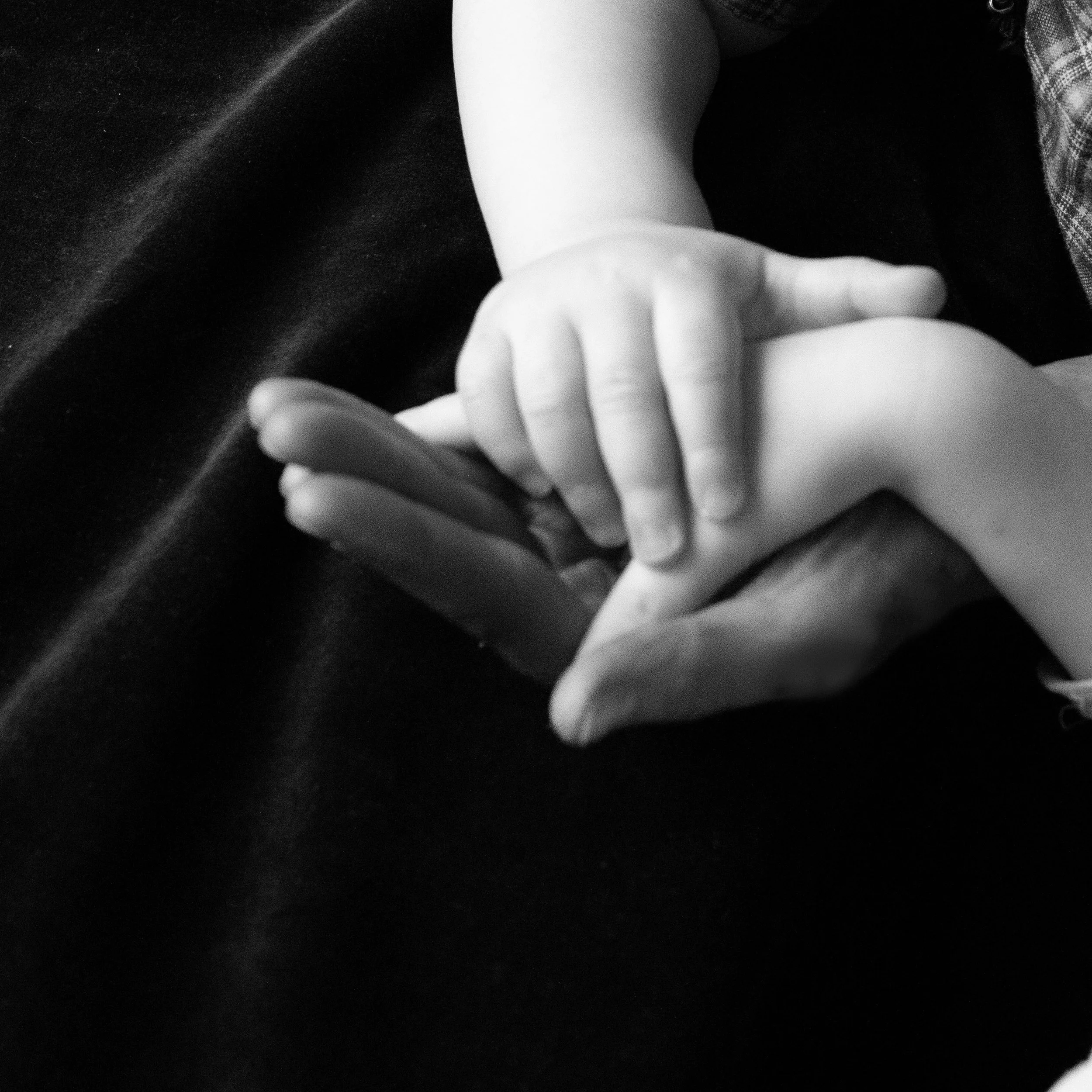 family1.hands.jpg