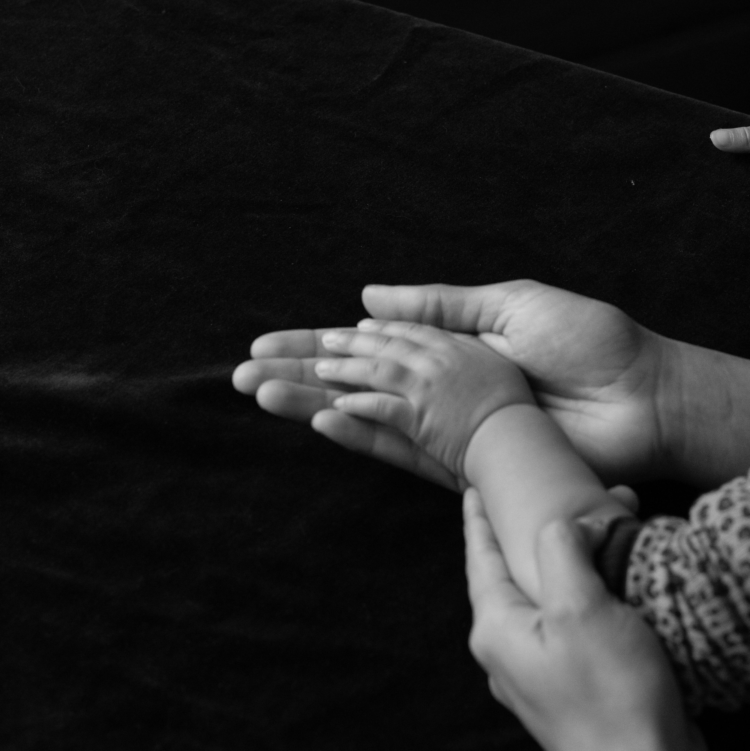 fmaily2.hands.jpg