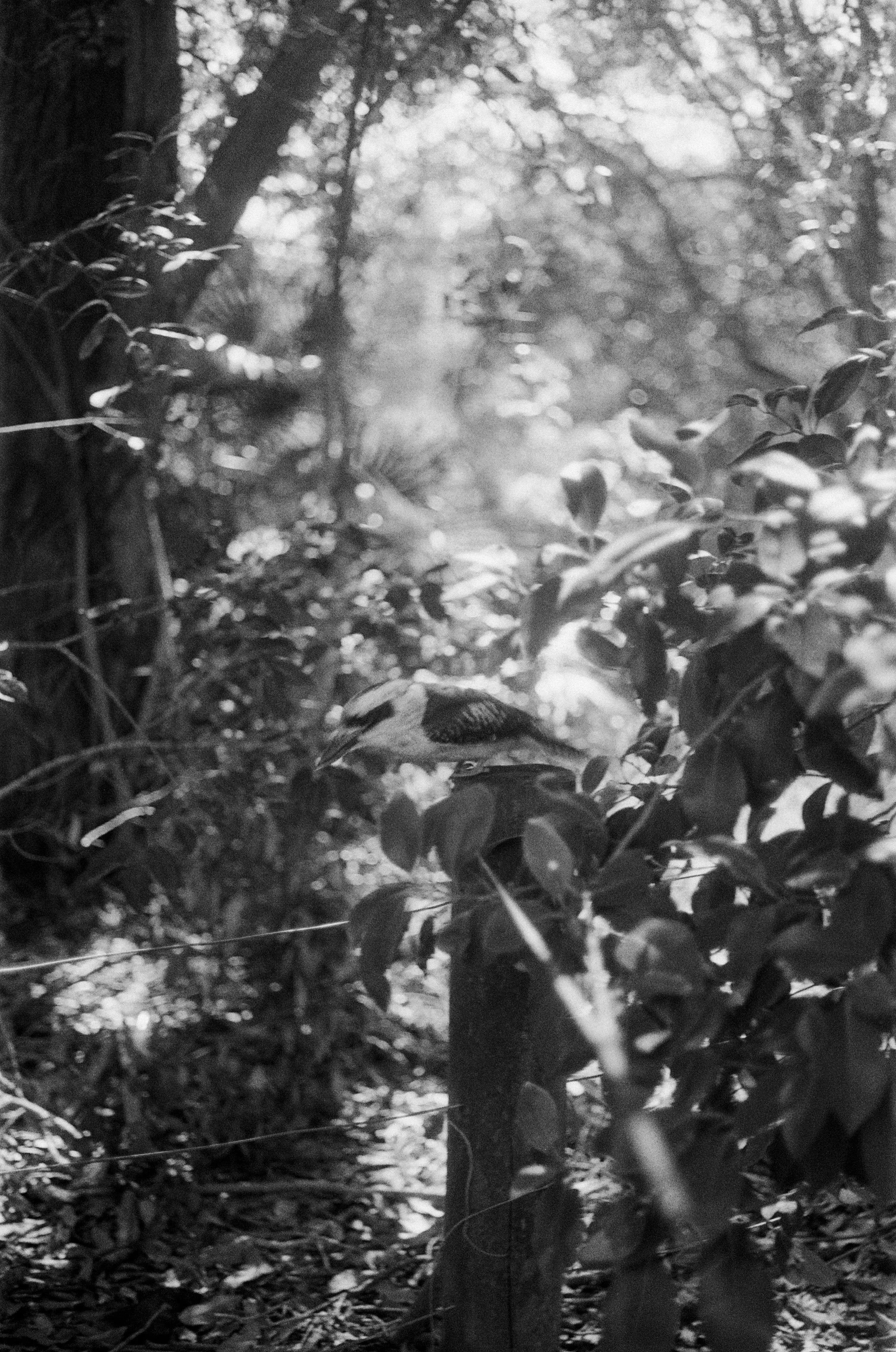 Miriam Stevens 0015 22 copy.jpg