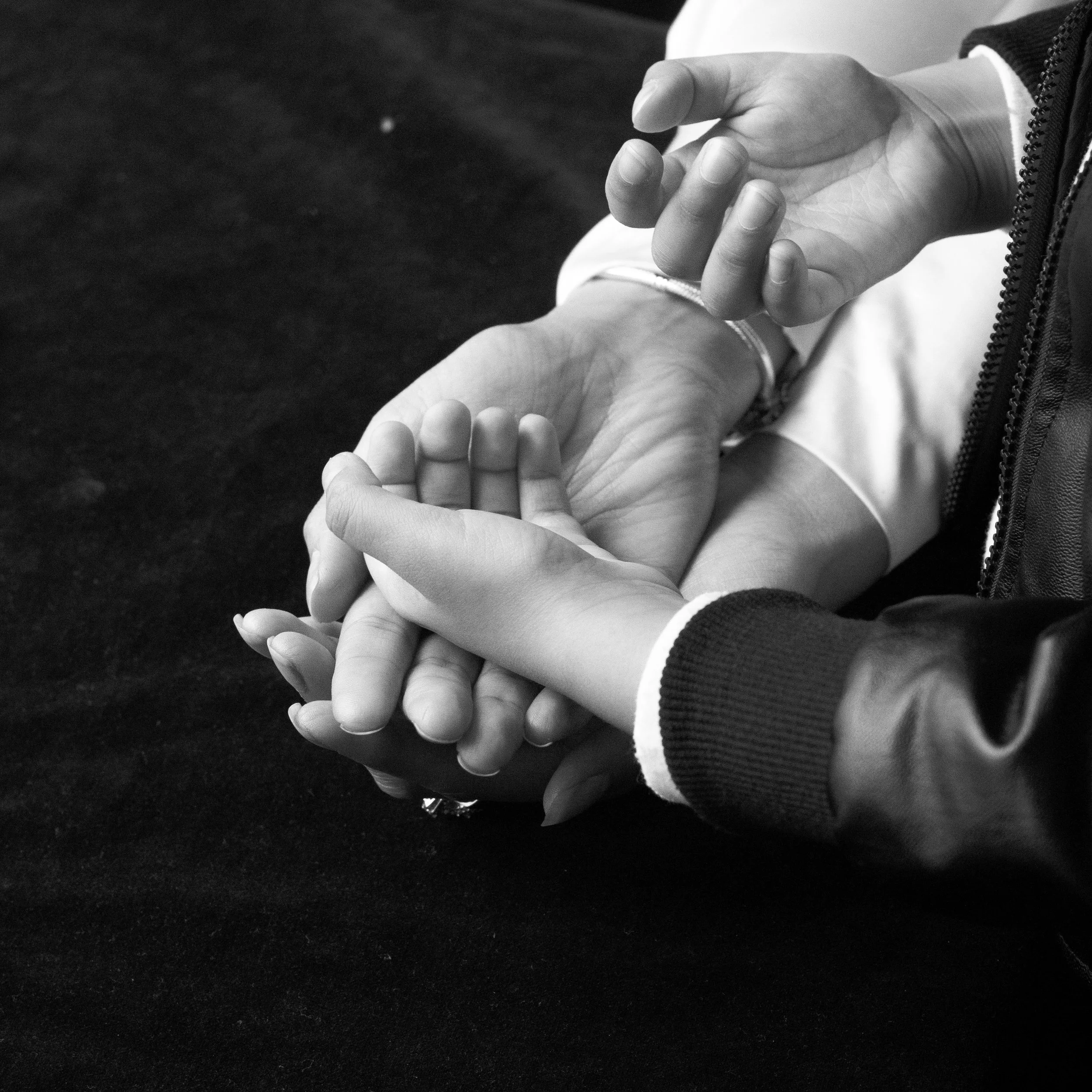 family6.hands1.jpg