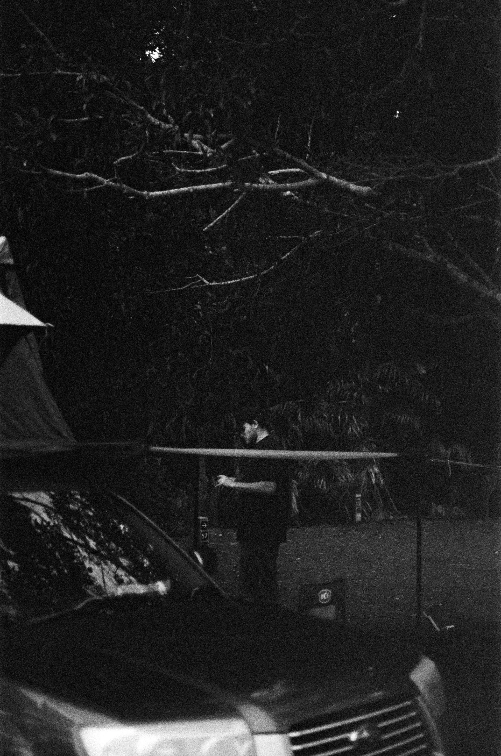 Miriam Stevens 0015 15 copy.jpg