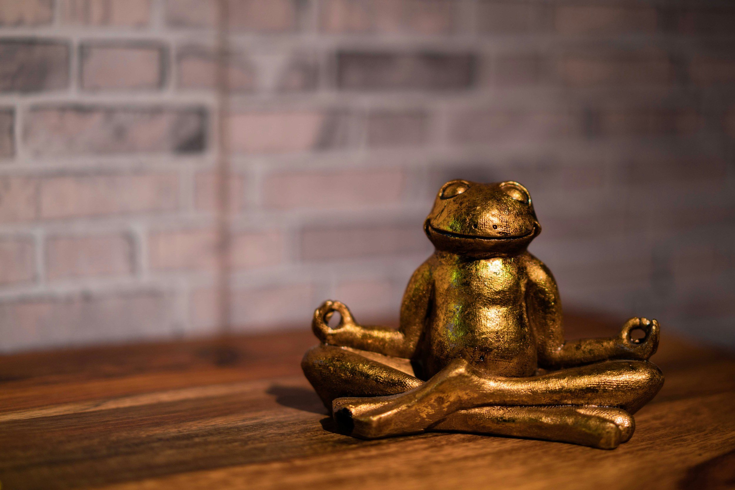 A golden frog-shaped figurine sitting in a yoga lotus position on a wooden surface with a brick wall background.