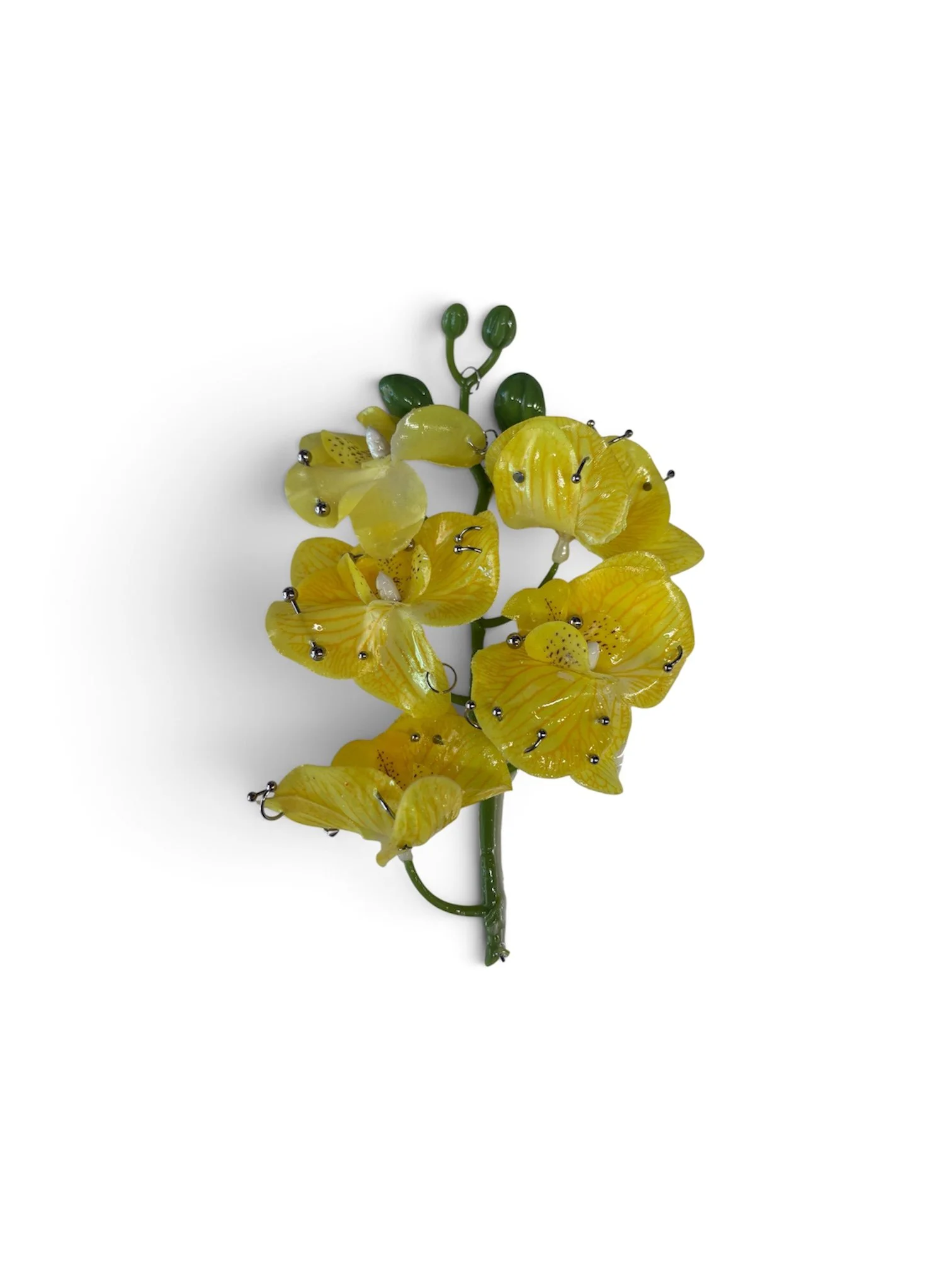 Photoroom_20260731_141340.JPG
