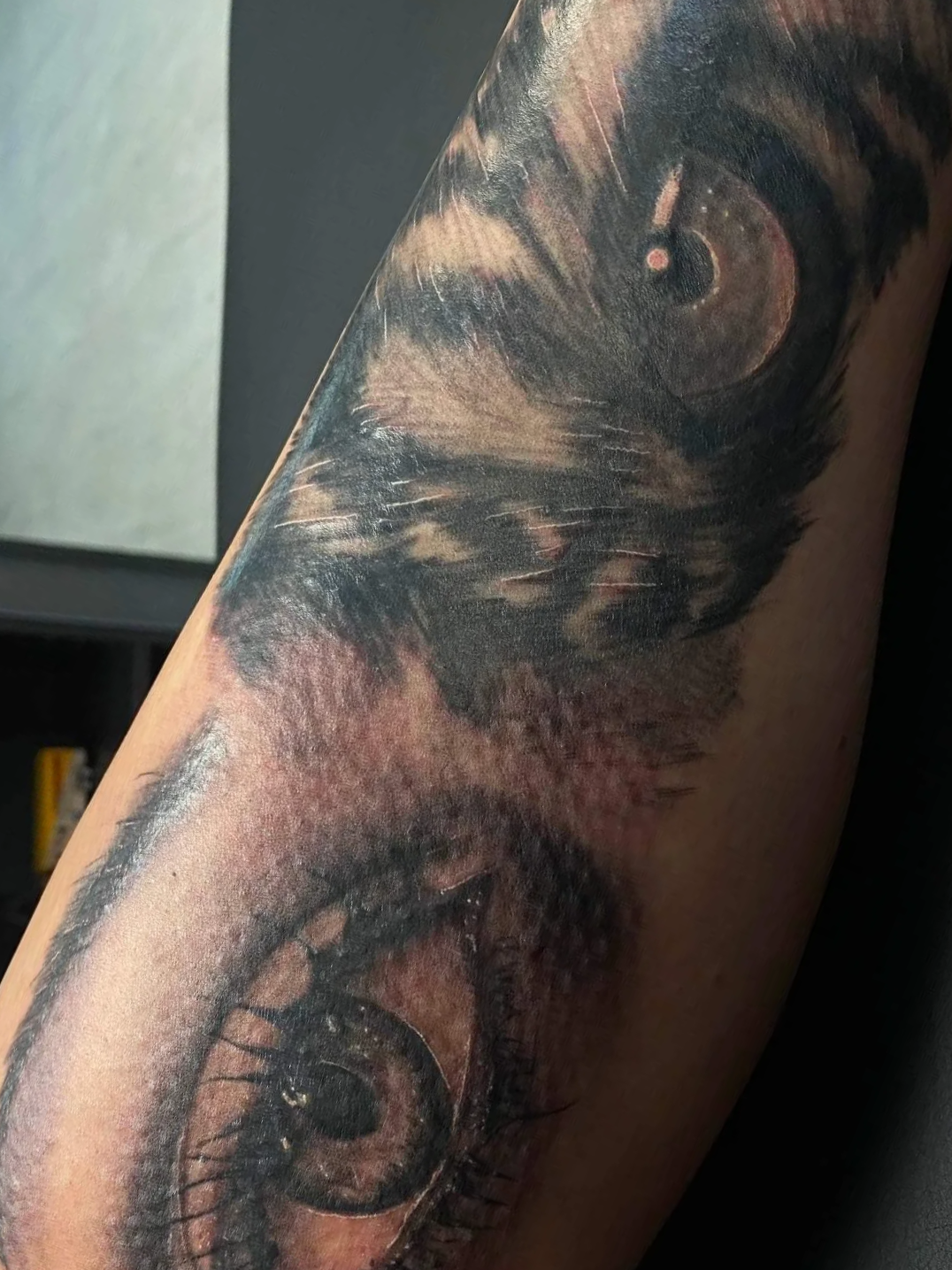 Close-up view of a tattoo featuring a realistic animal, possibly a wolf or dog, with detailed fur and an intense expression.
