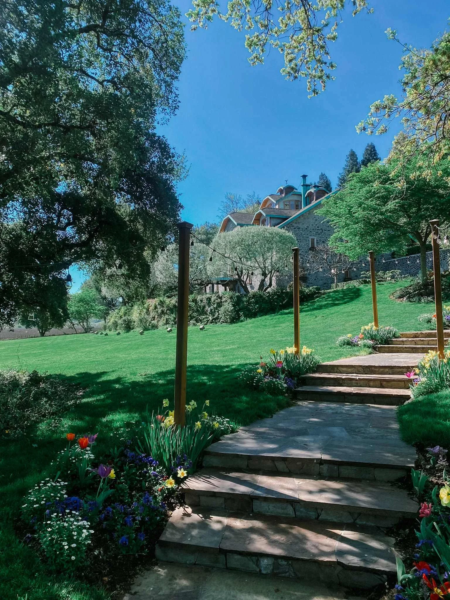 Exploring Napa Valley With James Kilkelly - mei7wmq