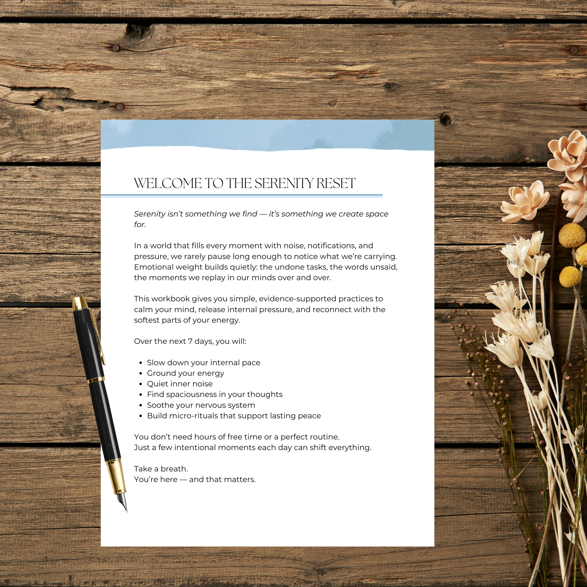 Sam's open page mockups (12).png