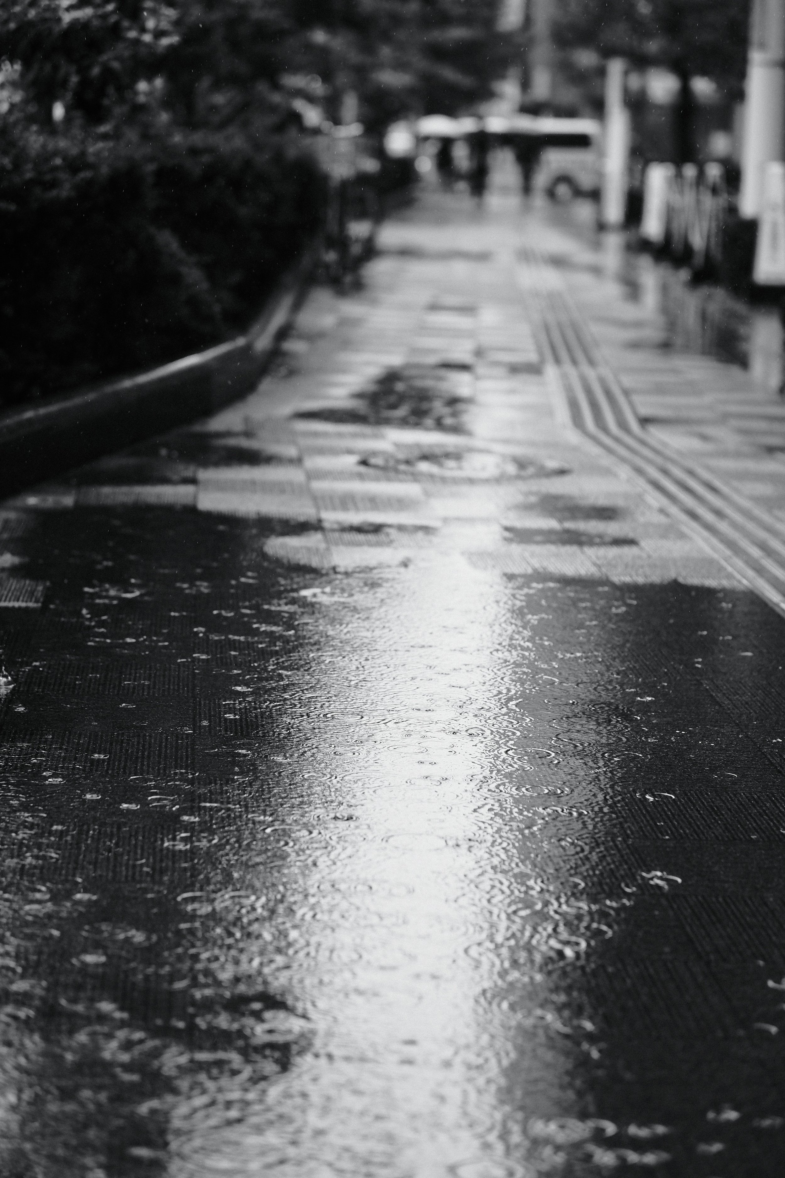 Portfolio Edit-128.jpeg