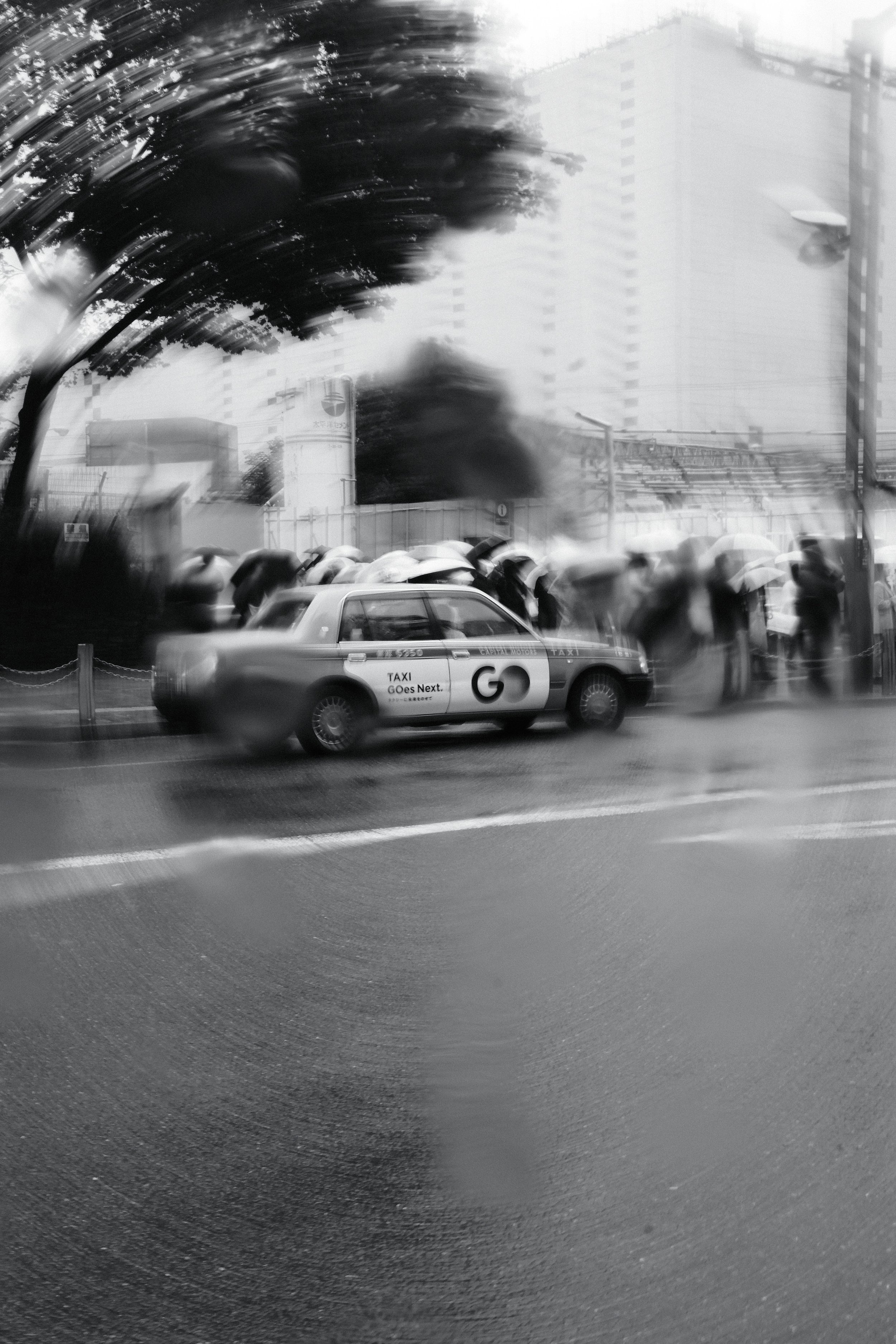 Portfolio Edit-136.jpeg