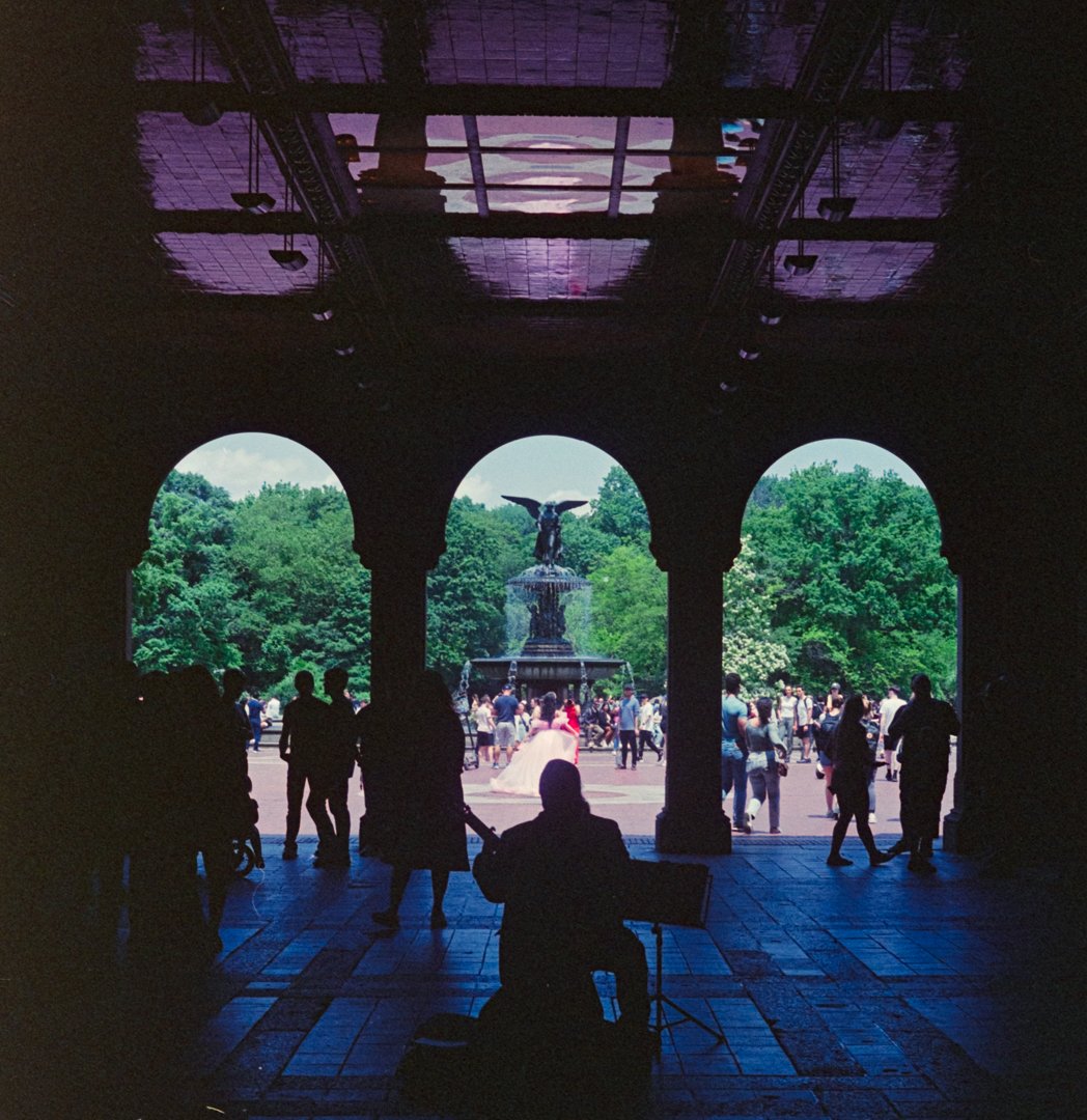 Positive (43 of 48).jpg