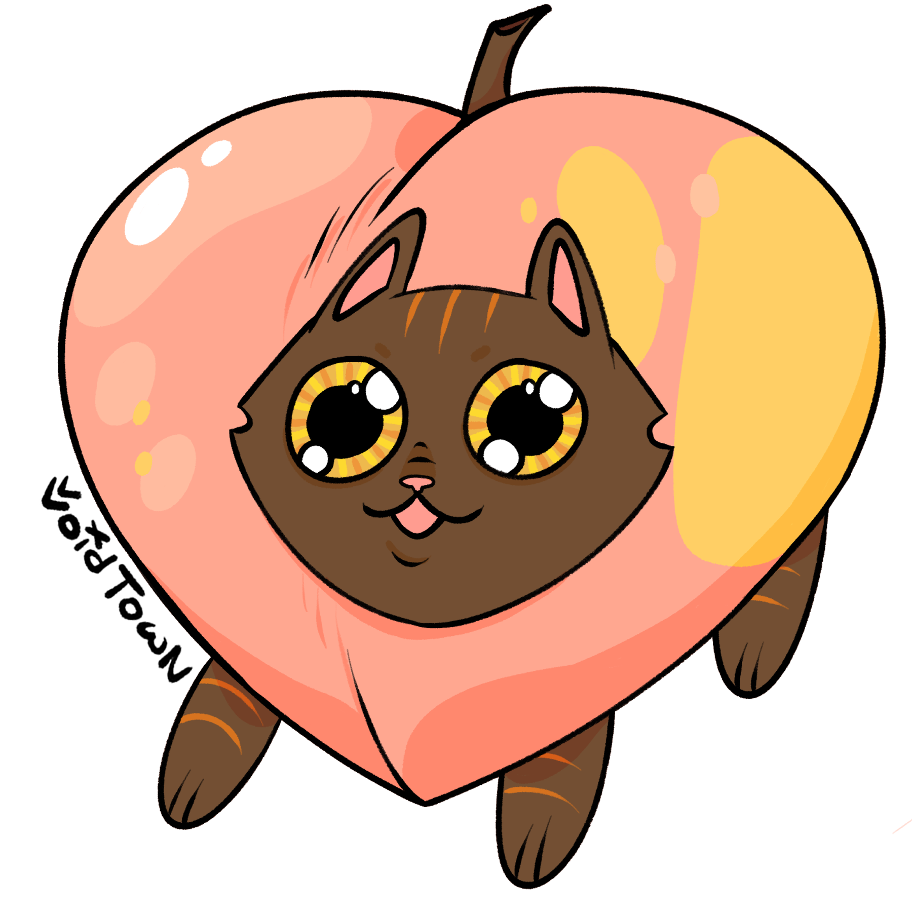 peach cat.png