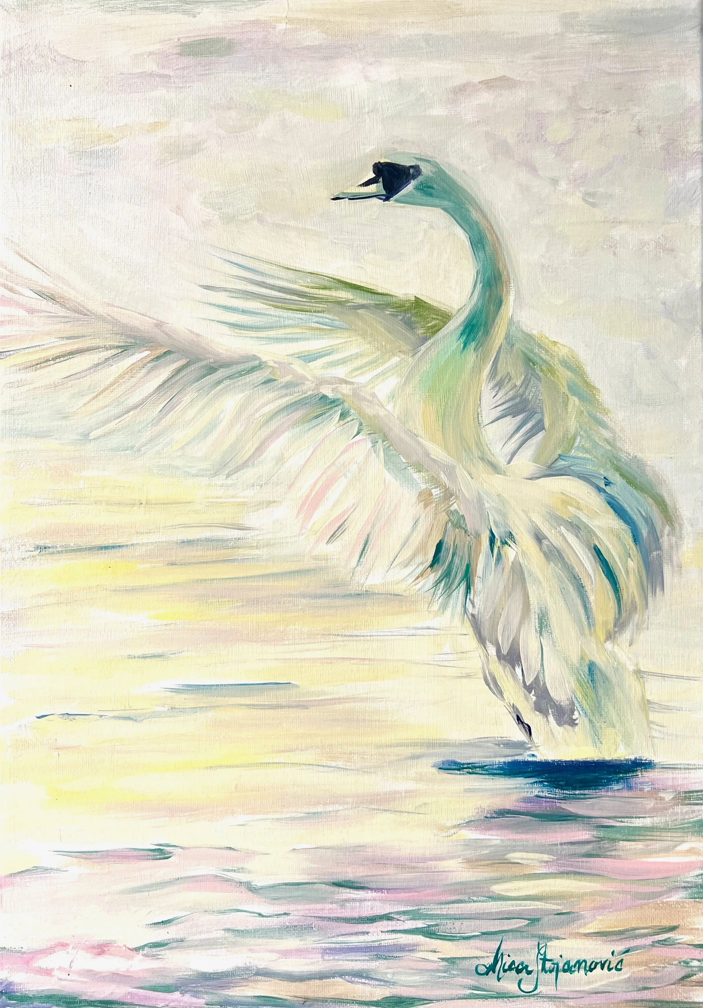 Dreamy Swan