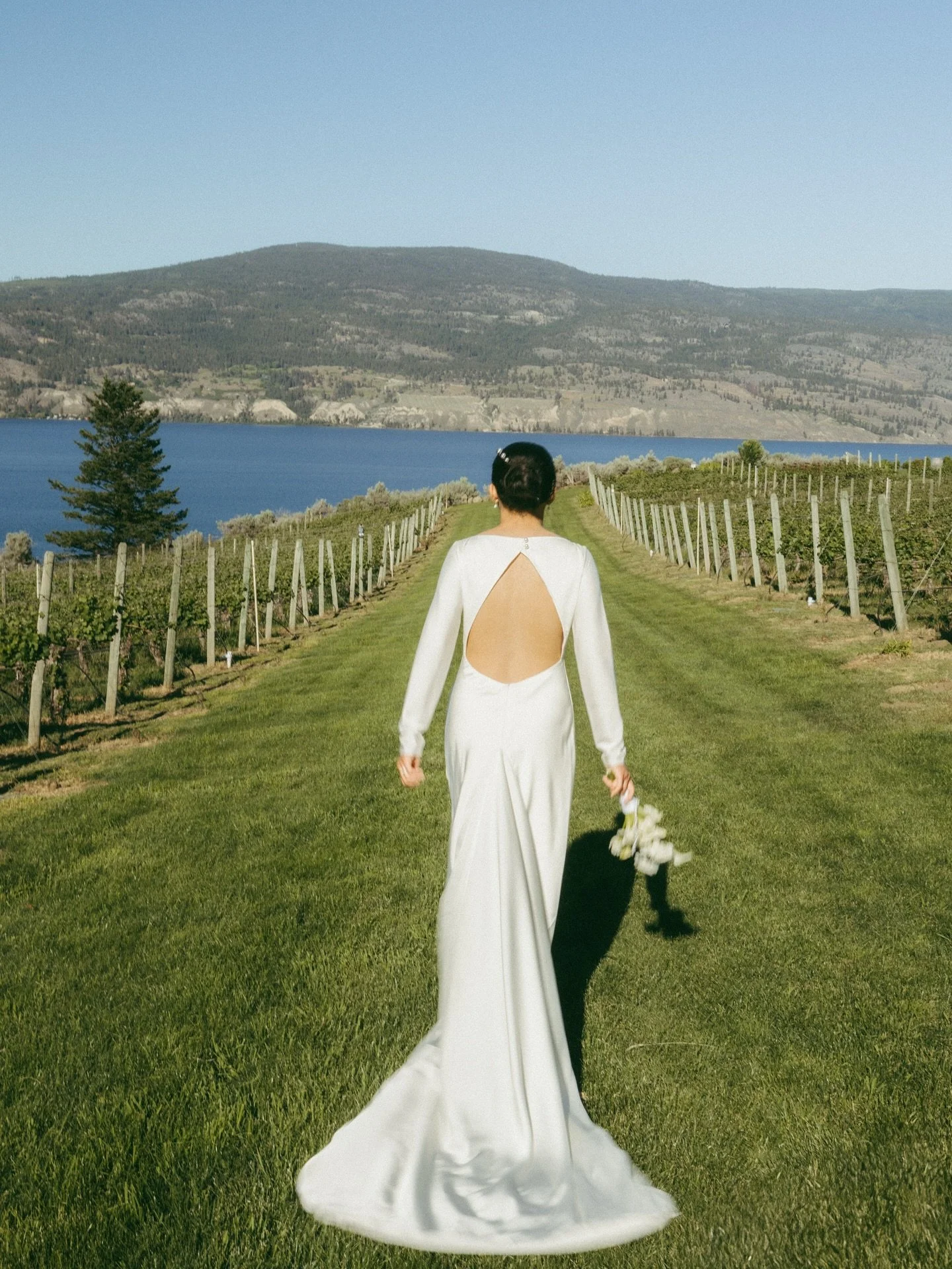 Elegance in motion. 2/3 
The stillness before the vows, the sunlight tracing her silhouette, the walk into forever &mdash; quiet moments that speak volumes.
Shot in the vineyards, captured in light.

.
.
.
.
#VancouverWeddingPhotographer 
#BCWeddingP