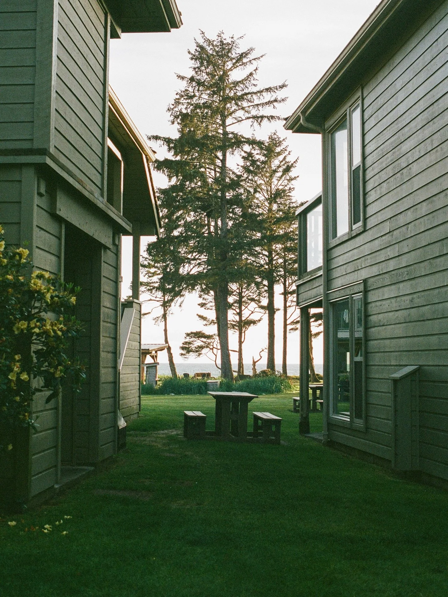 Quiet corners of the everyday&mdash;where time stretches, shadows soften, and the ordinary turns cinematic.
Shot over last 2 months, on walks without destination.
Canon F-1 + Portra 400.

.
.
.
.
#35mmfilm
#Portra400
#CanonF1
#FilmIsAlive
#CinematicM