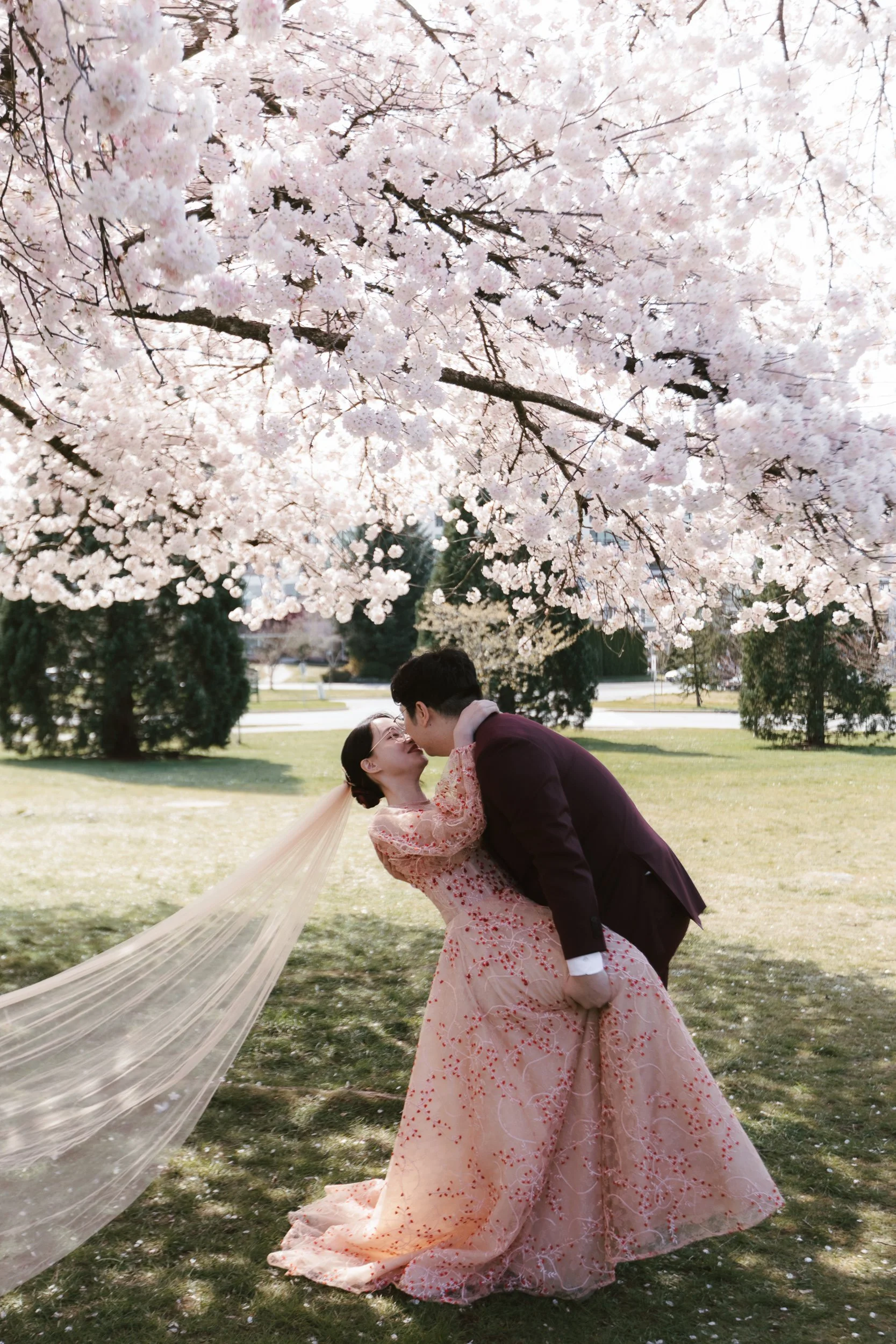 A Cherry Blossom Wedding at Queen Elizabeth Park Vancouver