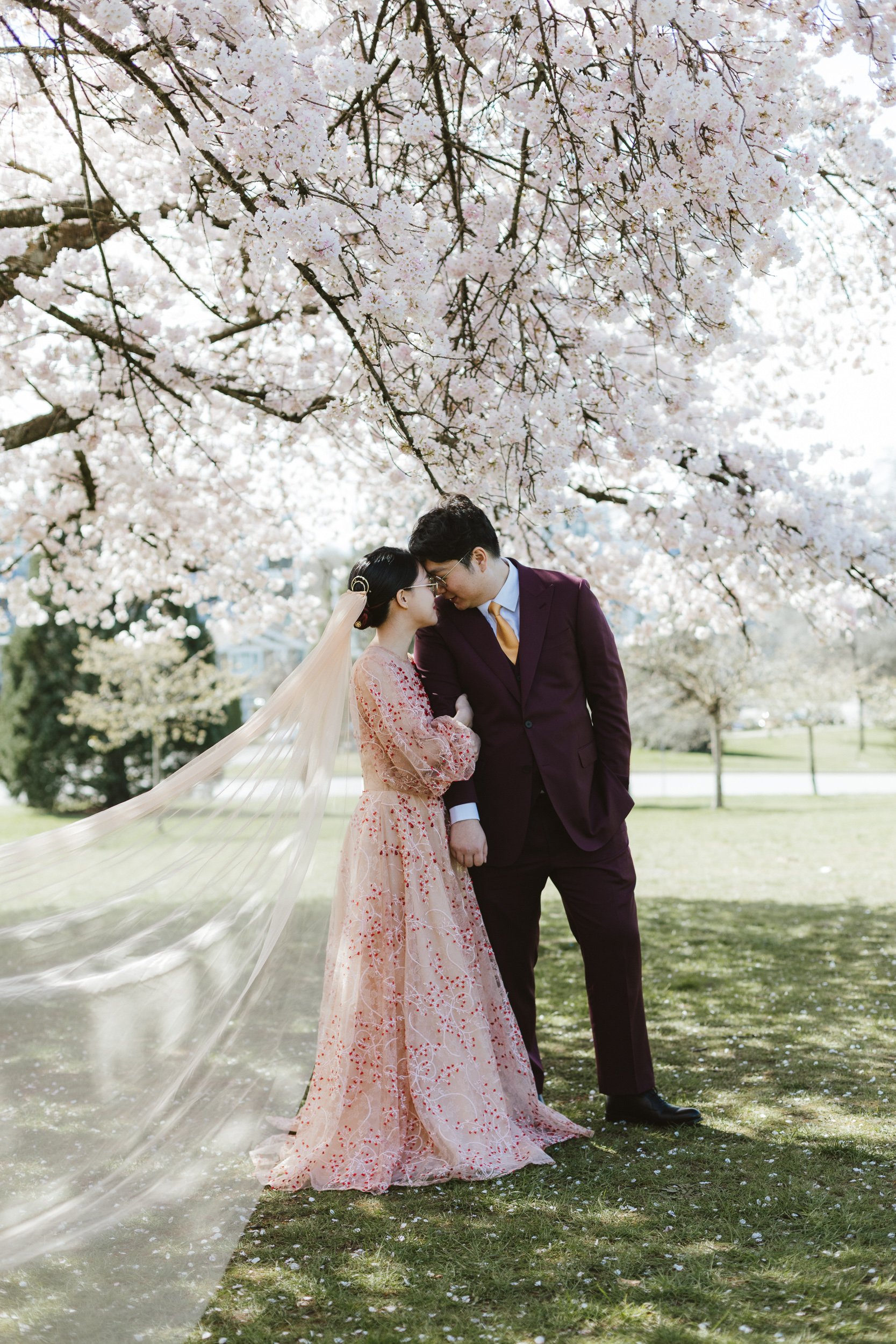 A couple dressed in wedding attire standing underneath a tree with blooming pink cherry blossoms, holding hands and leaning their foreheads together in a park.
