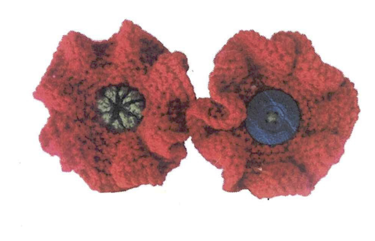 Lynn’s Easy knitted Poppies