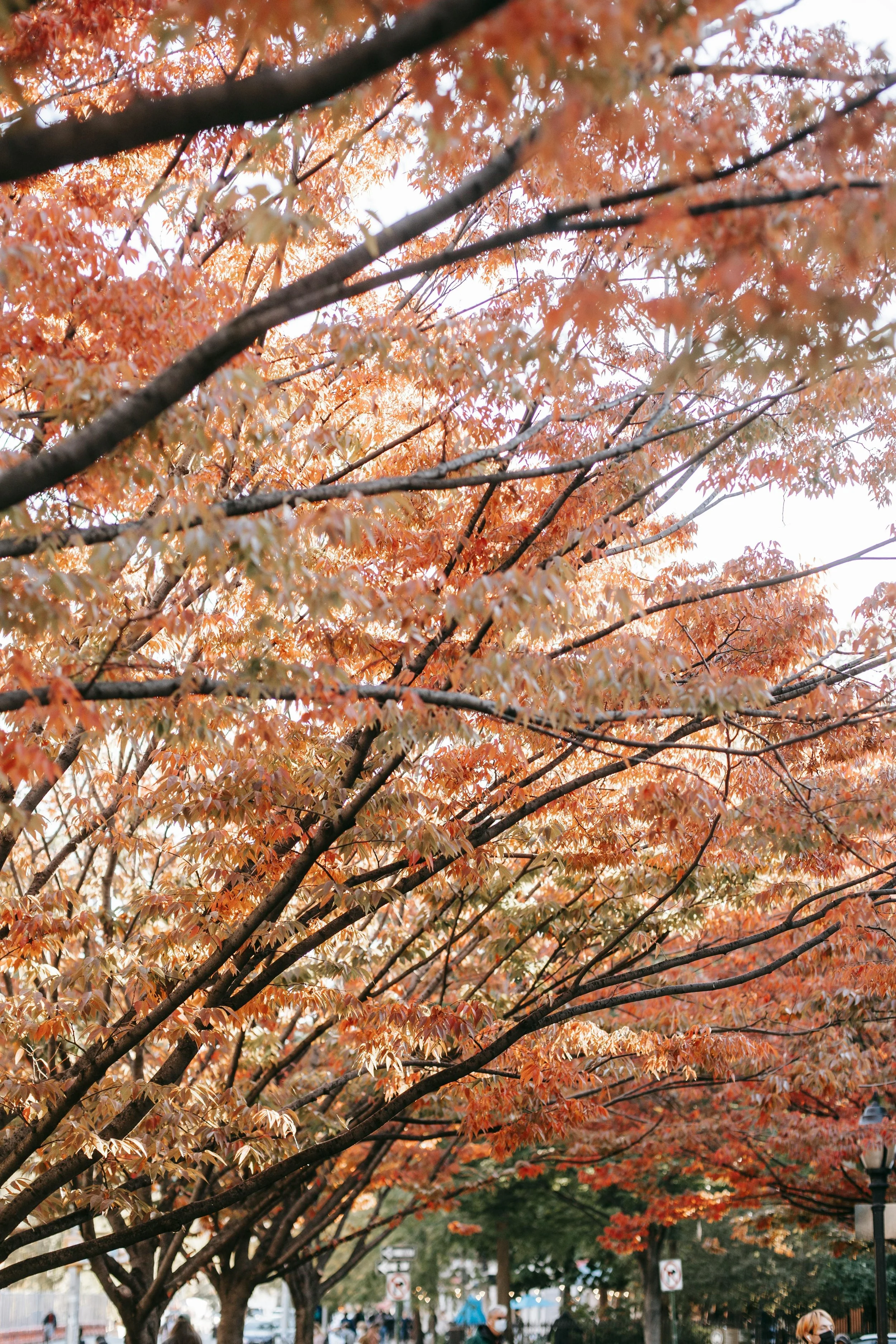 November Inspiration