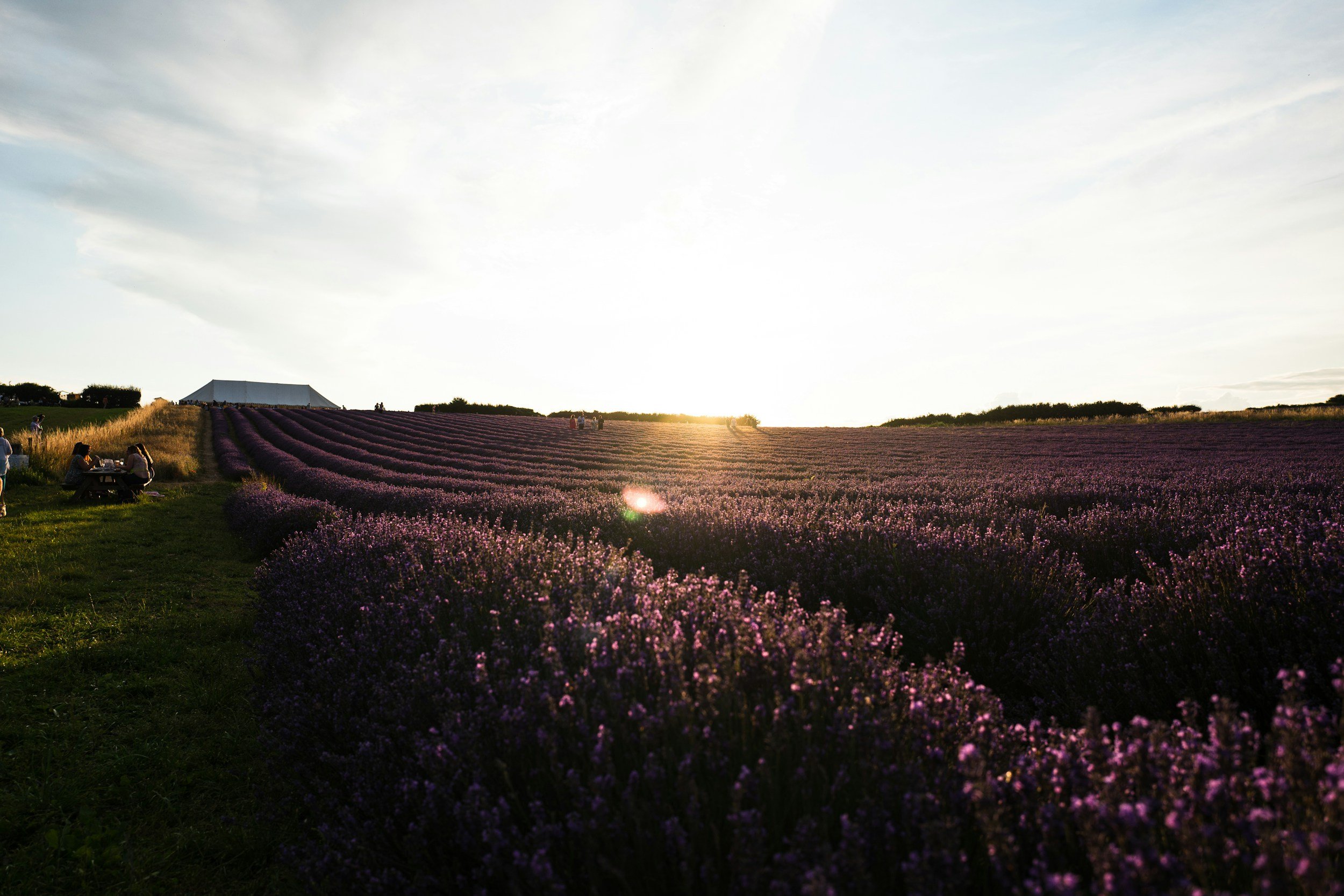 unsplash-image-a7pSPBb-d3E.jpg
