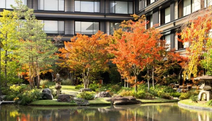 An Insider’s Guide to Where to Stay in Japan