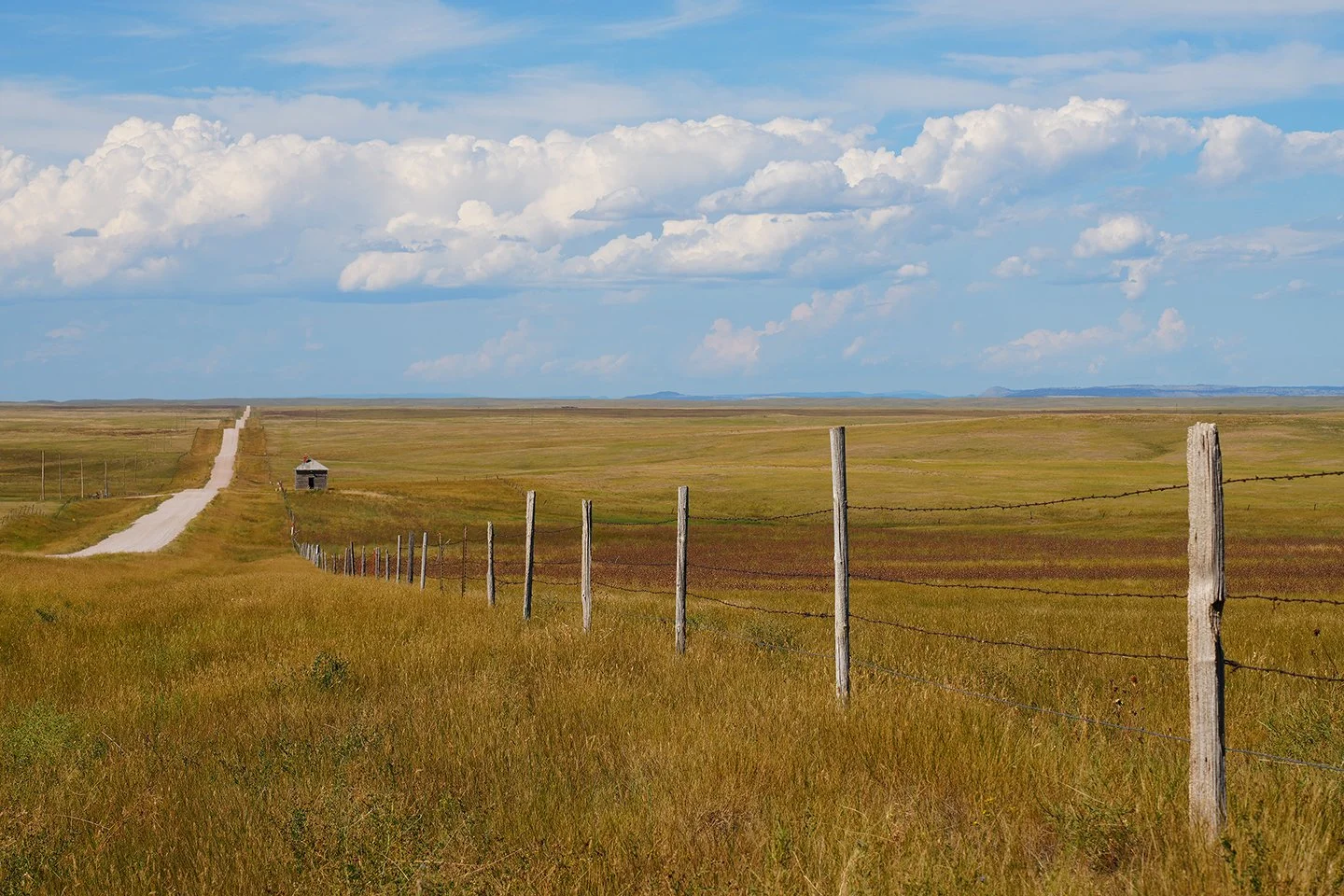 shackfenceline_provo_082723.jpg