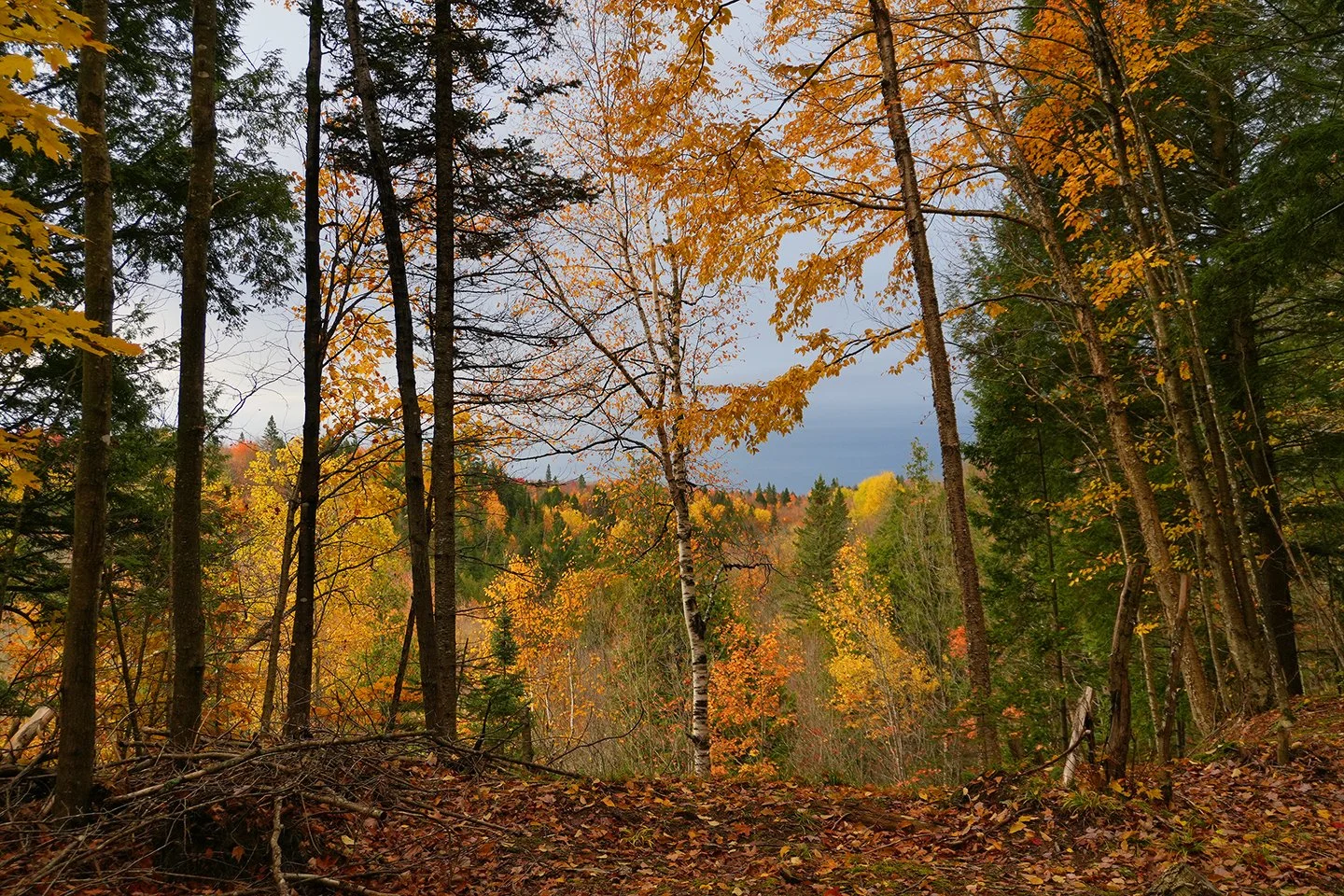 fallcolor_reserve224_102123.jpg